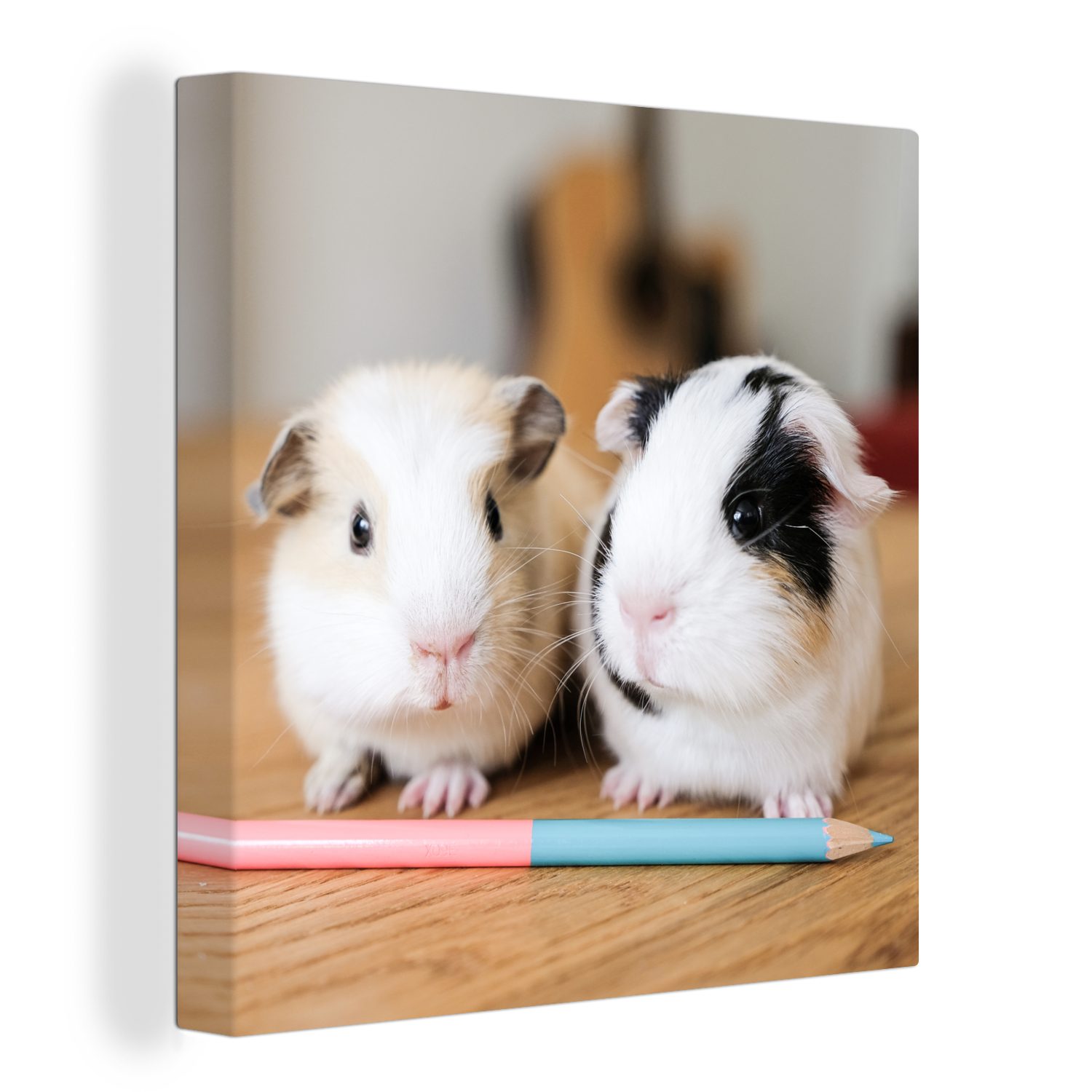 OneMillionCanvasses® Leinwandbild Entzückende Baby-Meerschweinchen, (1 St), Leinwand Bilder für Wohnzimmer Schlafzimmer