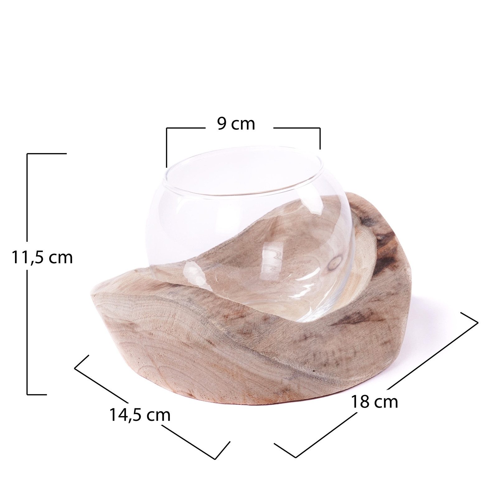 CREEDWOOD Windlicht Wurzelholz Windlicht "NURIA", mit Glaseinsatz, Vase, Ke günstig online kaufen