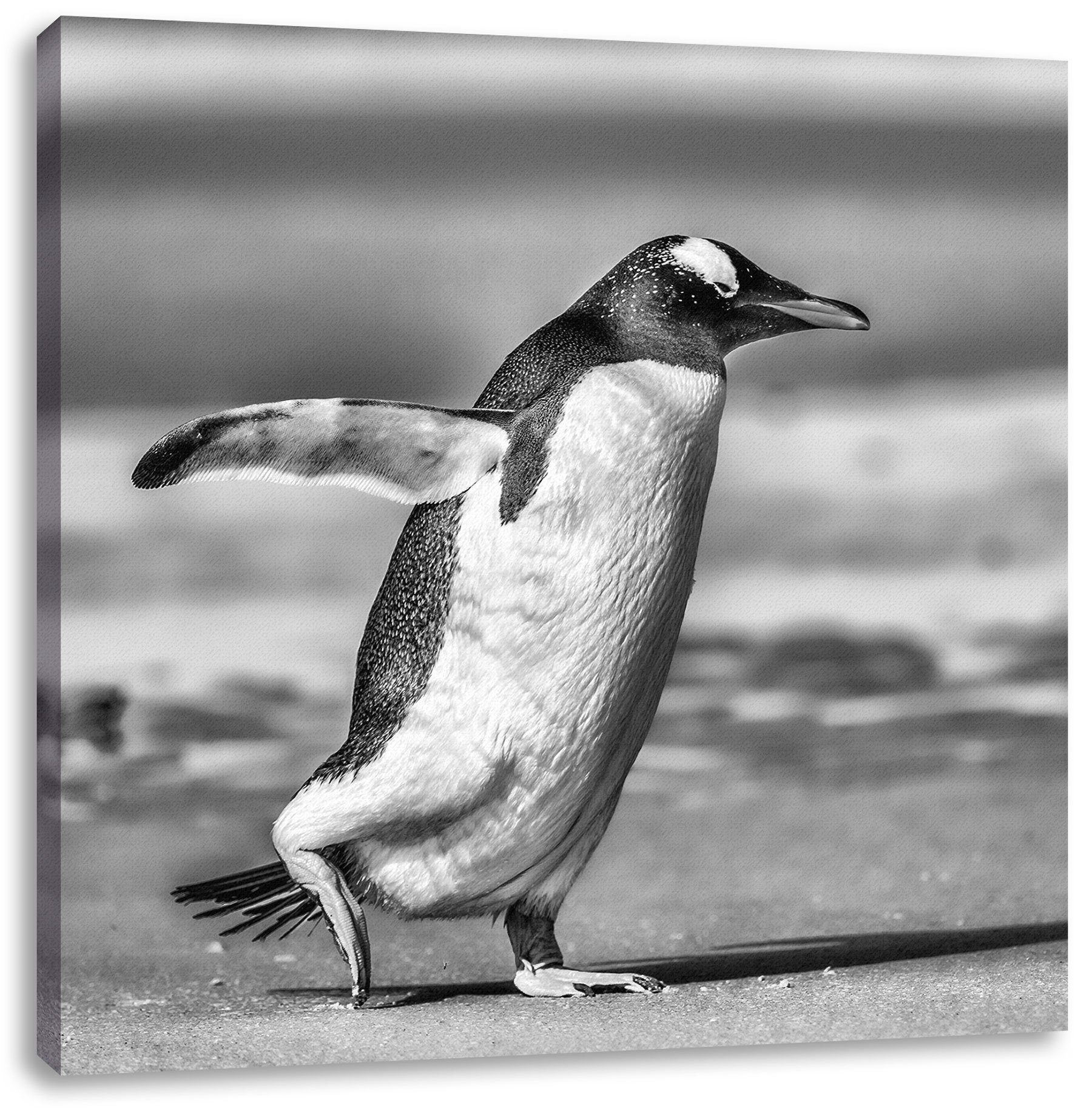 Pixxprint Leinwandbild Pinguin am Strand, Pinguin am Strand (1 St), Leinwandbild fertig bespannt, inkl. Zackenaufhänger