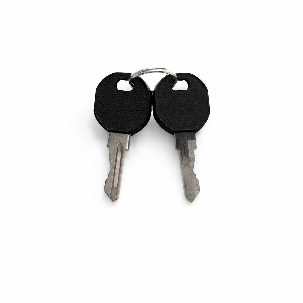 DSIT Serverschrank DSIT Extra Schlussel für die Türen von einem 32HE-42HE Outdoor