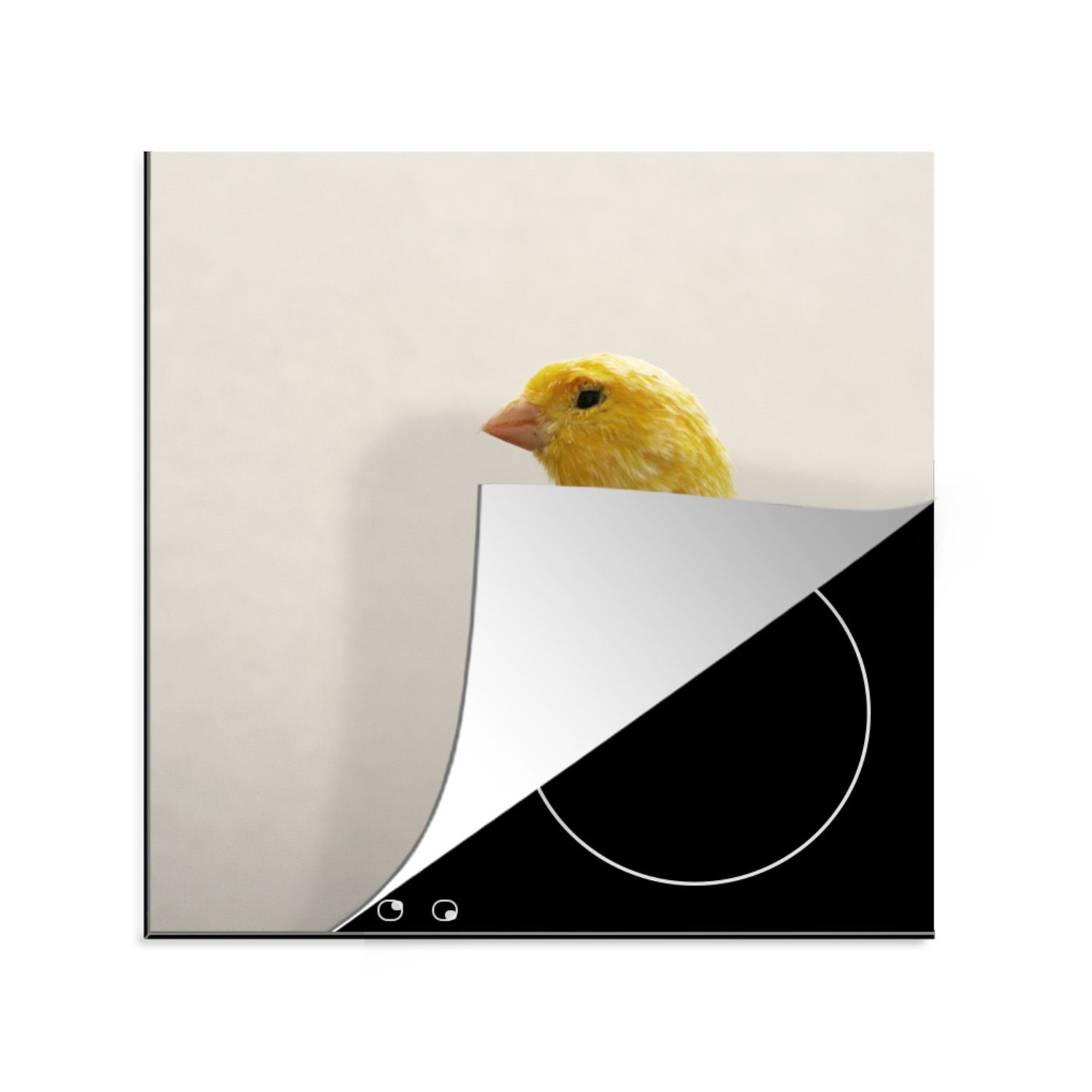 MuchoWow Herdblende-/Abdeckplatte Nahaufnahme eines gelben Kanarienvogels mit weißem Hintergrund, Vinyl, (1 tlg), 78x78 cm, Ceranfeldabdeckung, Arbeitsplatte für küche