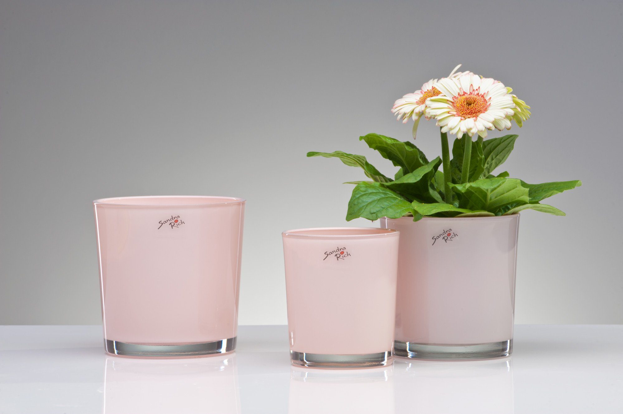 Sandra Rich Blumentopf Blumenübertopf CANDY rosa von Sandra Rich