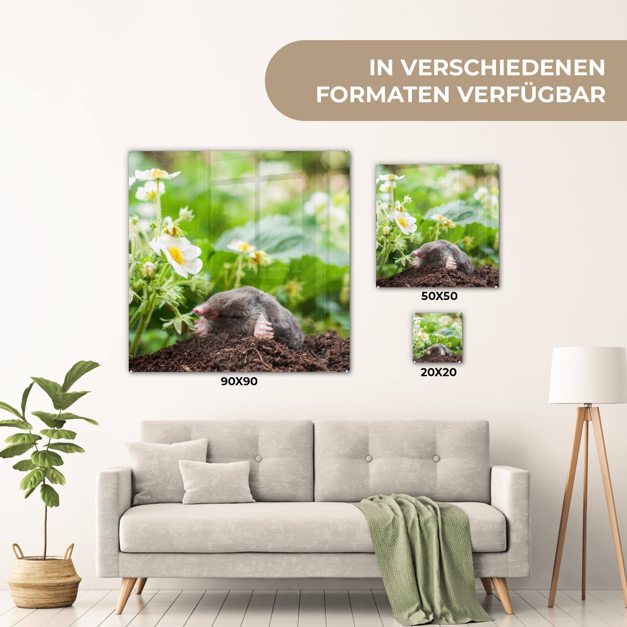 Maulwurf, auf auf (1 Acrylglasbild Garten Wanddekoration Bilder Glas Tier - Glasbilder Wandbild Glas - MuchoWow Foto - - - St),