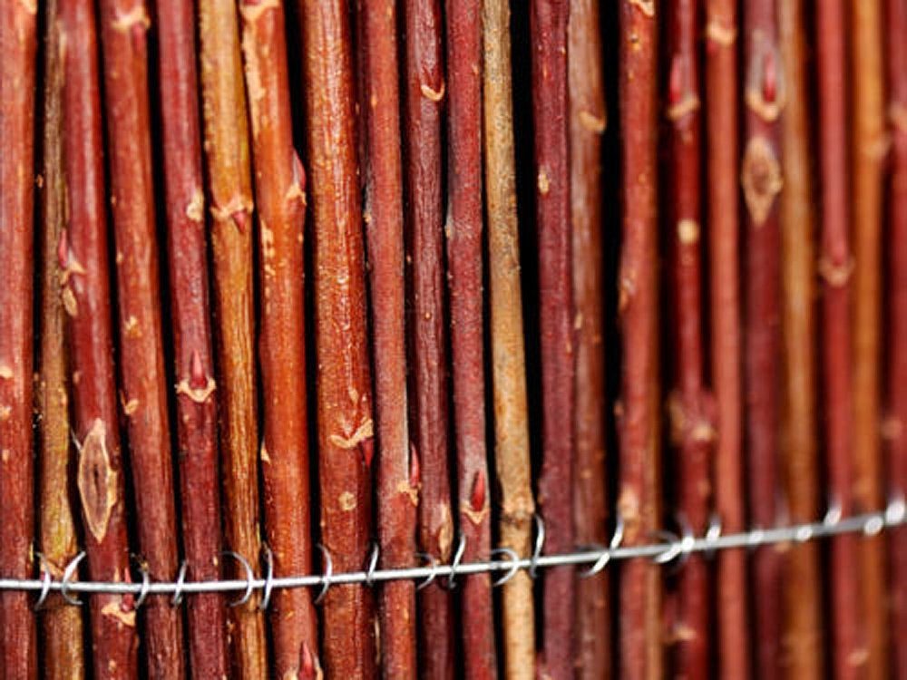 Lorek Sichtschutzzaunmatten Weidenmatte 80 x 300 cm Sichtschutz Sichtschutzmatte Weidenzaunmatte