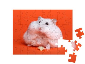 puzzleYOU Puzzle Fluffiger weißer Hamster, 48 Puzzleteile, puzzleYOU-Kollektionen Hamster, Bauernhof-Tiere, Insekten & Kleintiere