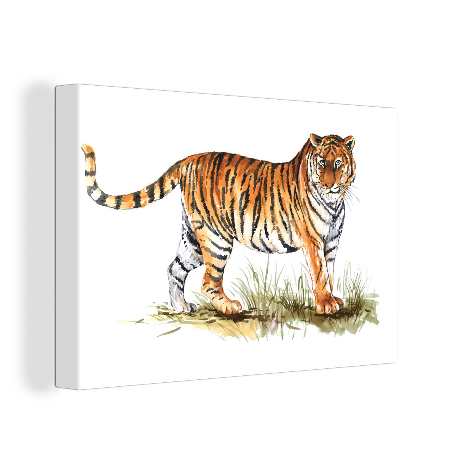 Leinwandbilder, Leinwandbild Wanddeko, Weiß, - Aufhängefertig, Gras (1 cm Wandbild Tiger St), - OneMillionCanvasses® 30x20