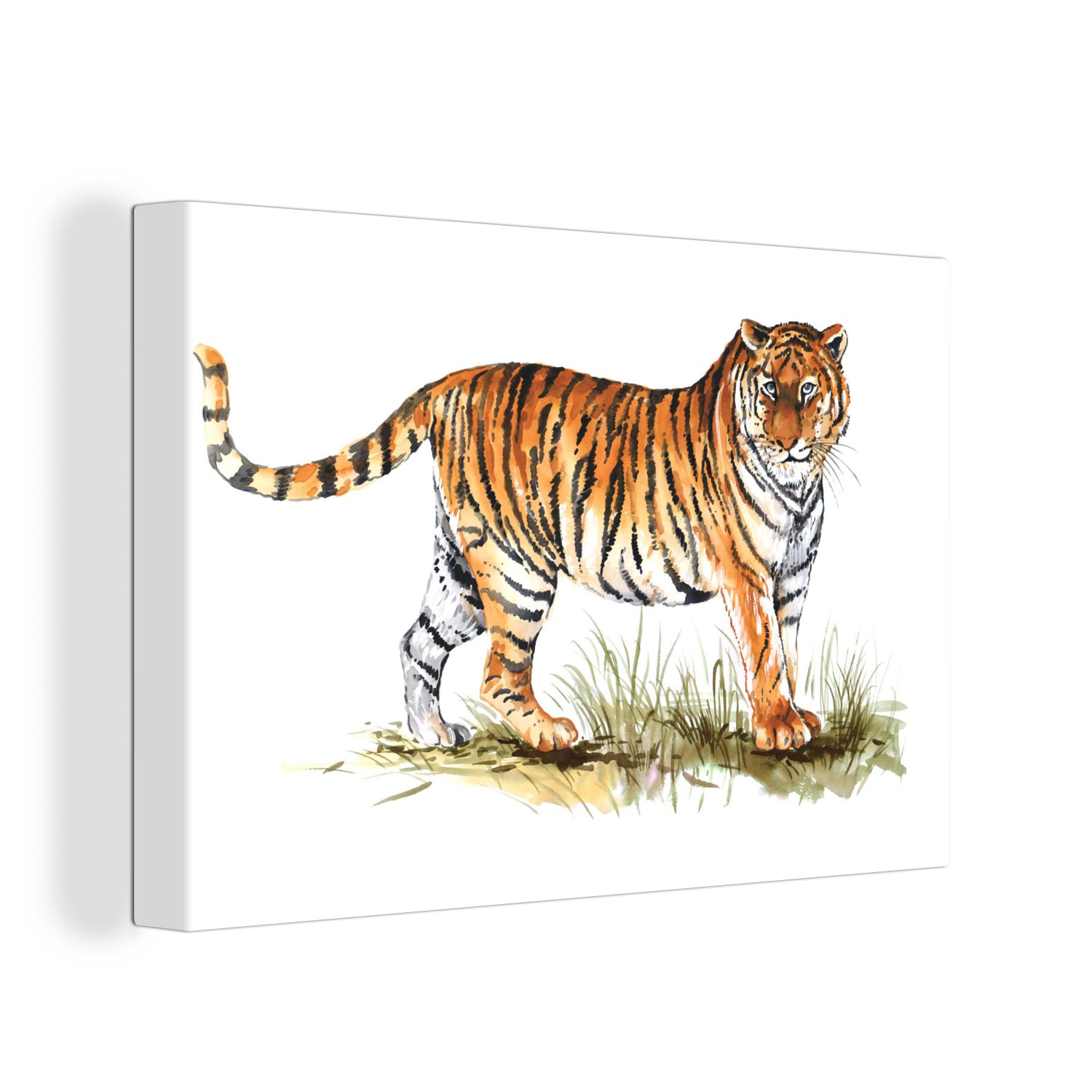 - 30x20 Wanddeko, Tiger Weiß, Leinwandbilder, cm OneMillionCanvasses® (1 Wandbild St), Gras Leinwandbild Aufhängefertig, -