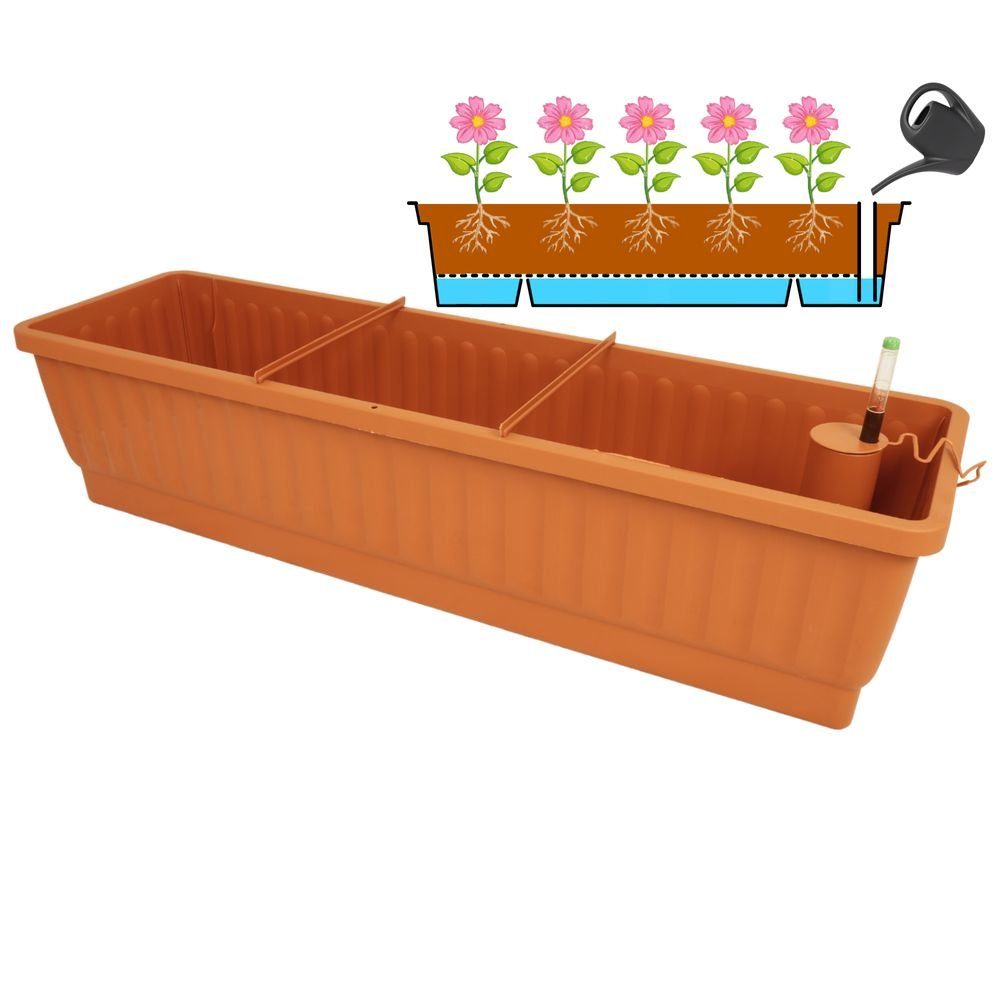 Heimwerkercenter Balkonkasten XXL Balkonkasten Venezia mit Bewässerung 60x22,5cm Terra Kunstoff