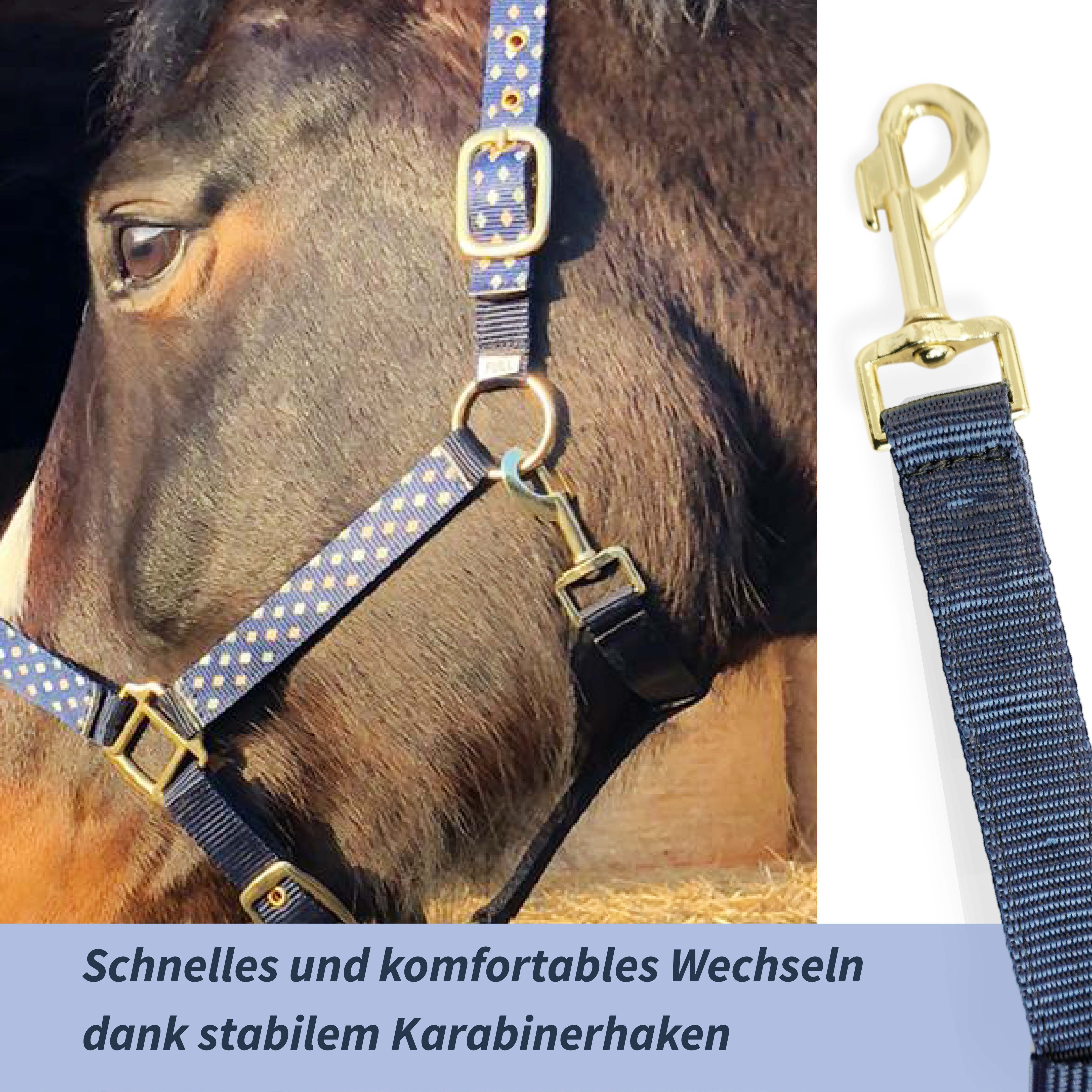 Pferdelinis Halfter Halfter für Pferde in blau, 2-fach verstellbar Shetty, Pony, Cob, Wb, verstellbar