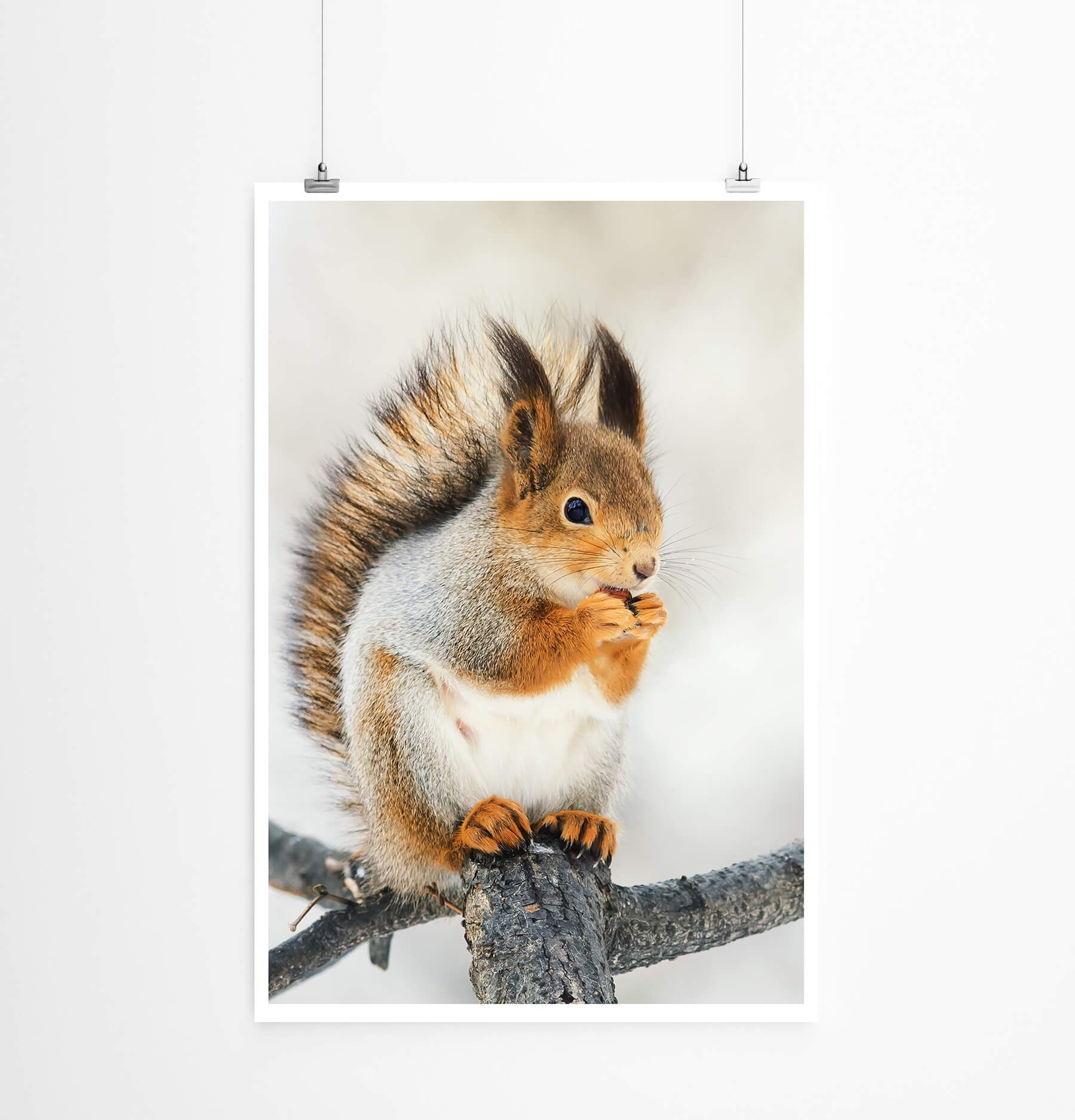 Sinus Art Poster 60x90cm Poster Tierfotografie  Süßes Eichhörnchen im Winter