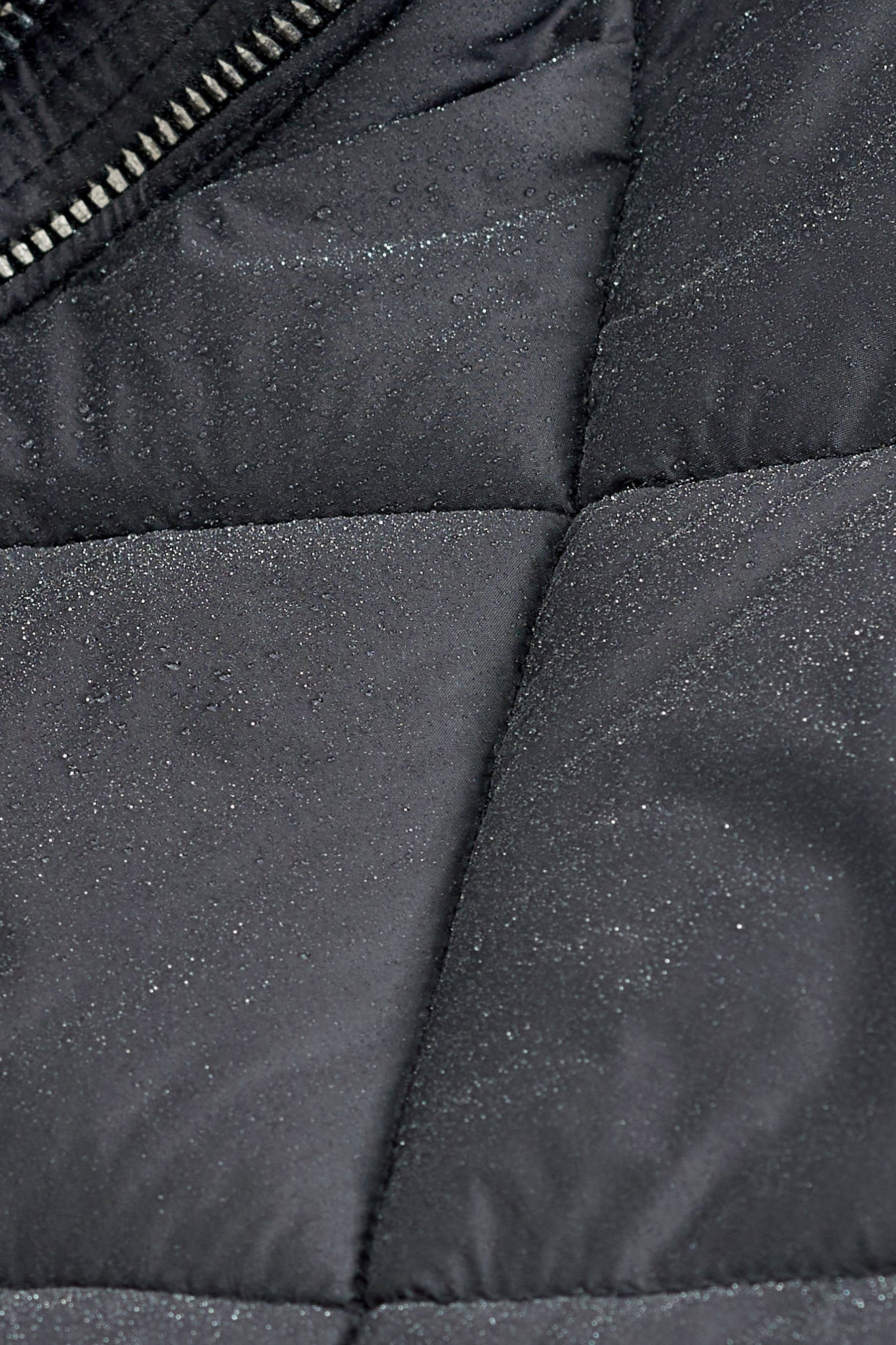Next Steppjacke Leichte Steppjacke (1-St)