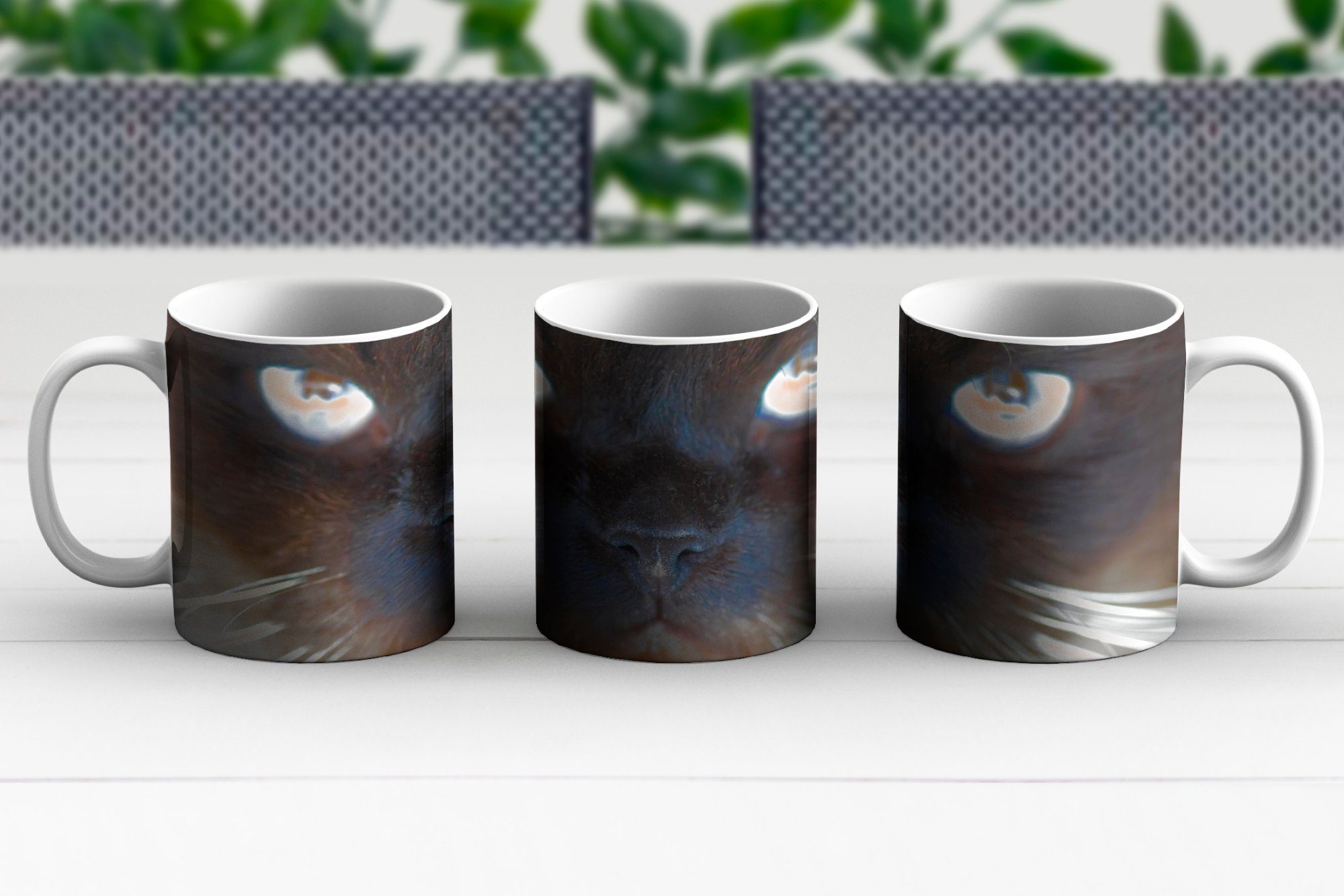 Keramik, Becher, MuchoWow Teetasse, Kaffeetassen, Teetasse, einer Siamkatze, Nahaufnahme Geschenk Tasse