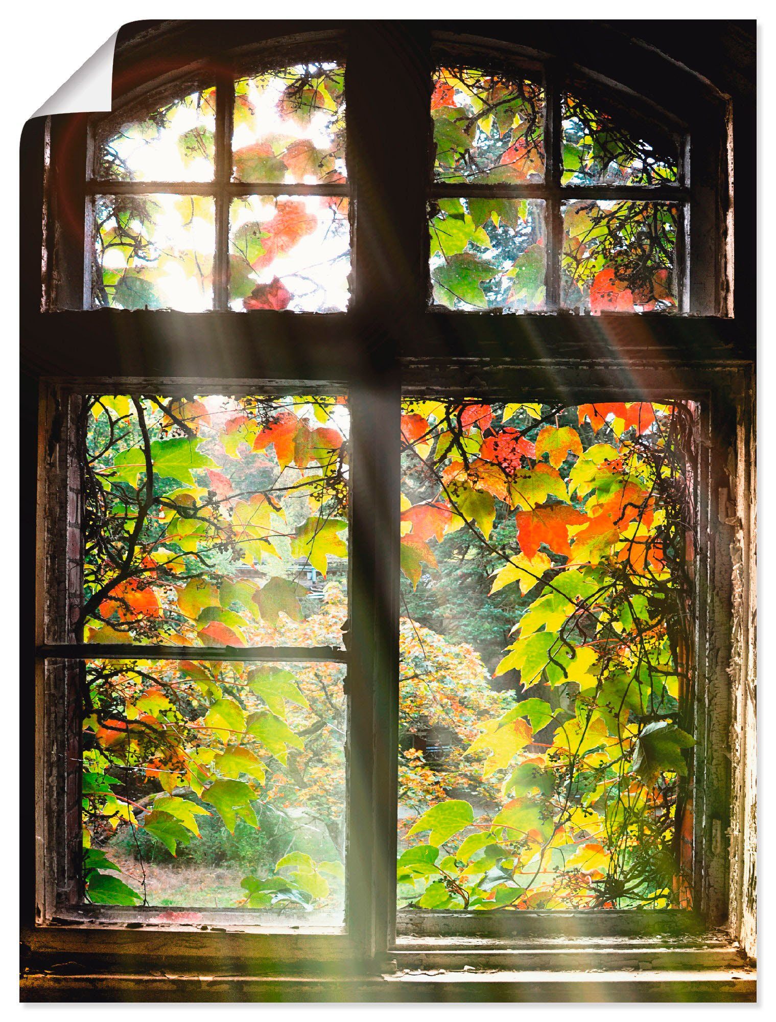 Alubild, oder & Wandbild als Wandaufkleber Altbau, versch. (1 Größen Artland Türen in Leinwandbild, St), Poster Fenster