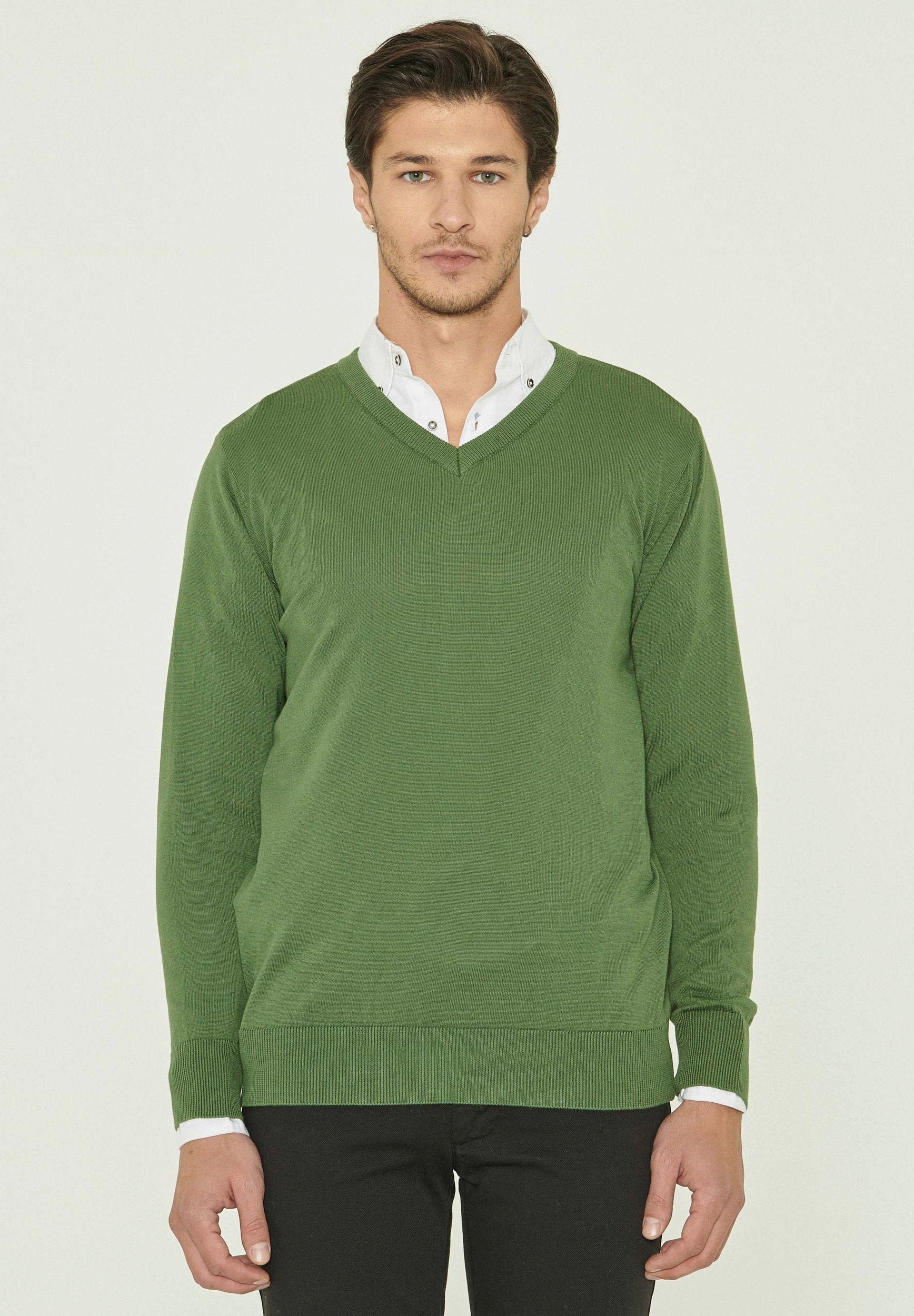 ORGANICATION Sweater Men's V-Neck Sweater in Green