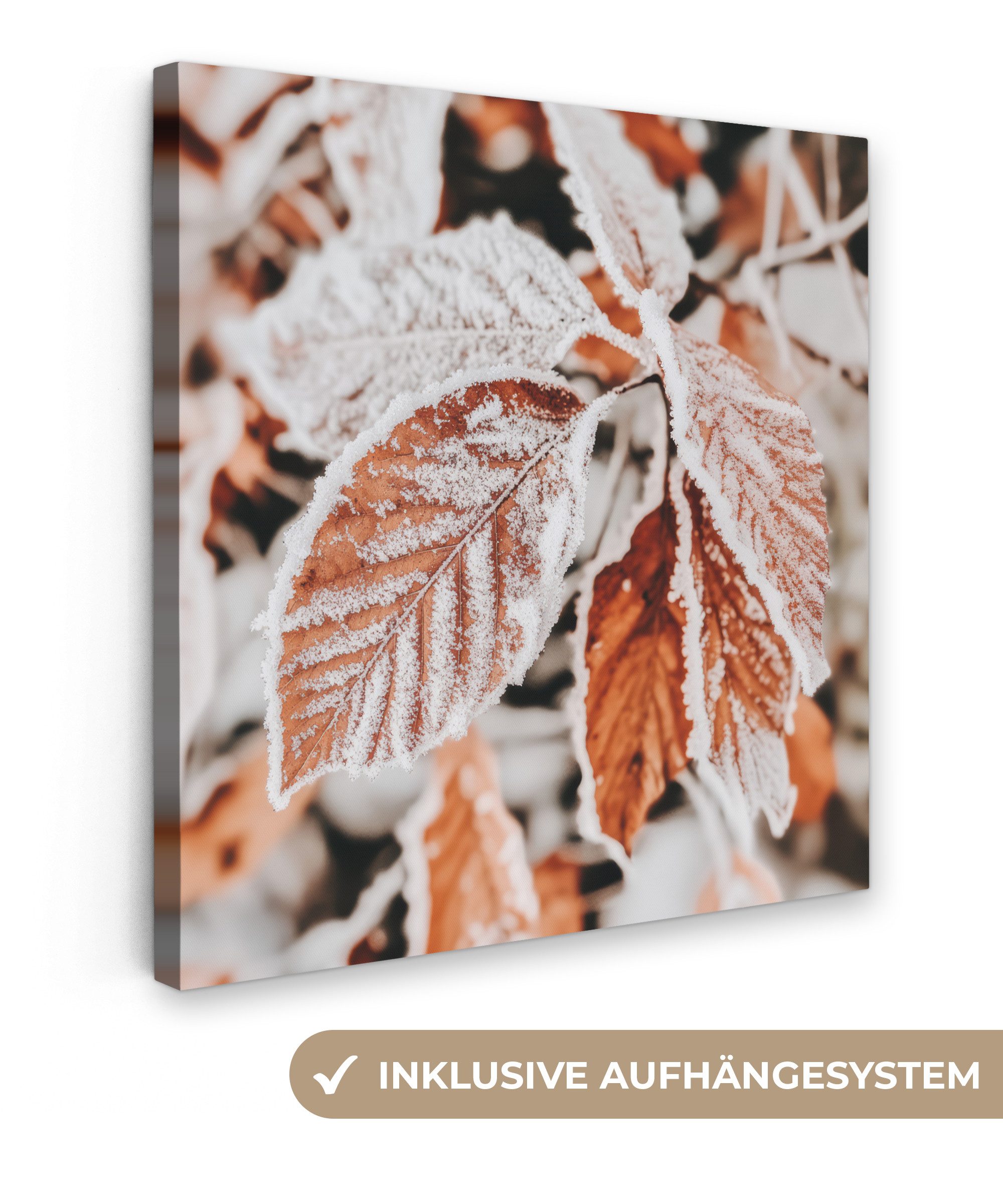 OneMillionCanvasses® Leinwandbild Laub - Eis - günstig online kaufen