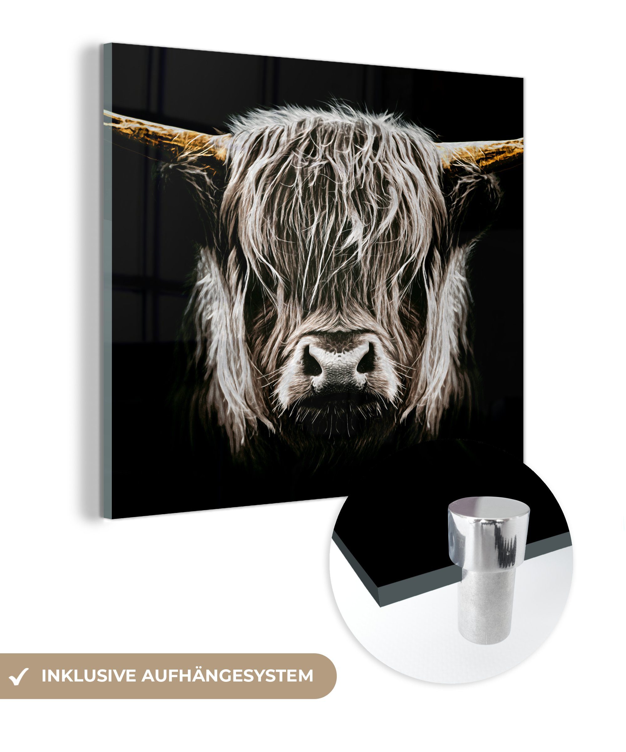 MuchoWow Acrylglasbild Schottischer Highlander - Gold - Hörner - Schwarz und weiß - Kuh -, (1 St), Glasbilder - Bilder auf Glas Wandbild - Foto auf Glas - Wanddekoration bunt