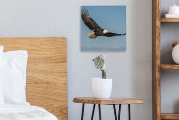 OneMillionCanvasses® Leinwandbild Vogel - Adler - Raubvögel, (1 St), Leinwand Bilder für Wohnzimmer Schlafzimmer
