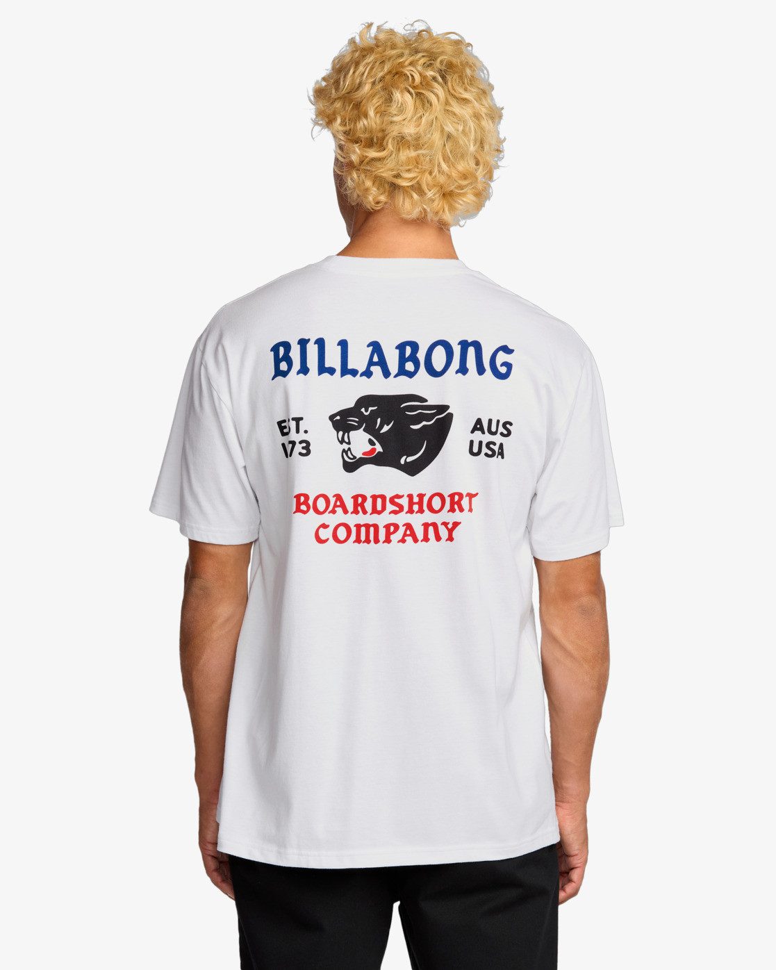 Billabong Print-Shirt Billabong Formidable Regular - T-Shirt