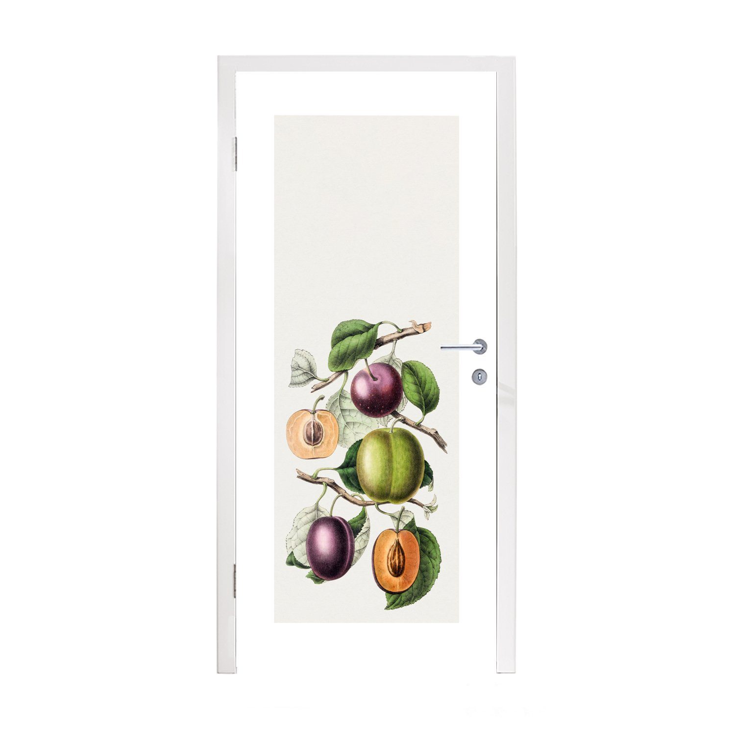 MuchoWow Türtapete Obst - Lebensmittel - Zweige, Matt, bedruckt, (1 St), Fototapete für Tür, Türaufkleber, 75x205 cm