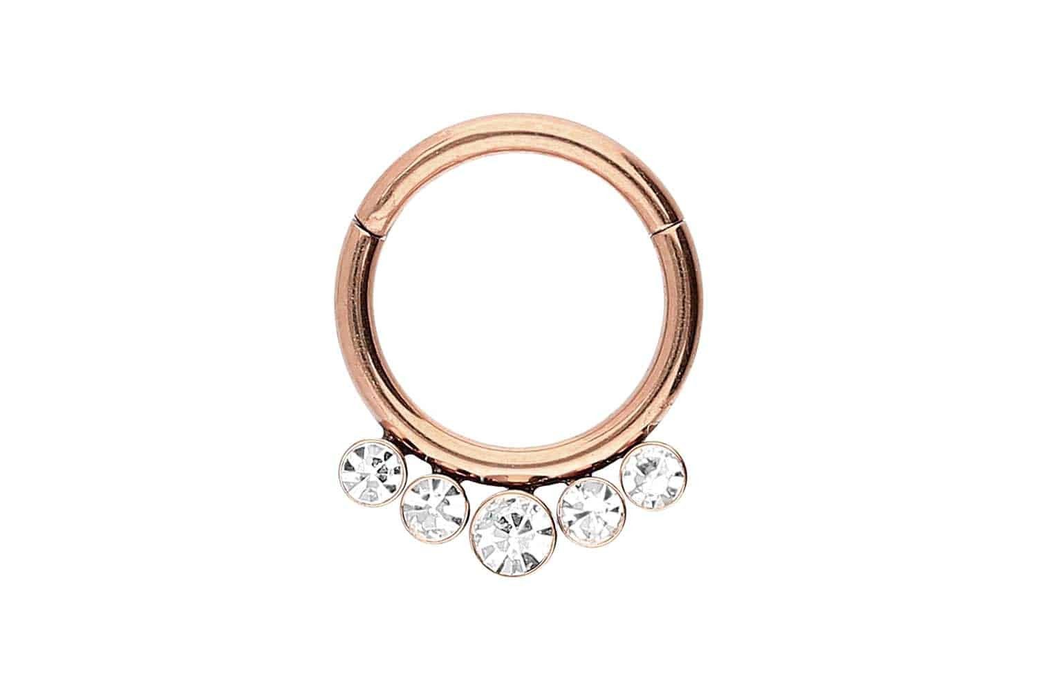 Nasenpiercing Chirurgenstahl Segmentring Clicker 5 KRISTALLE Ohrpiercing Septum