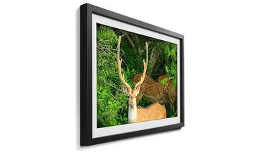 WandbilderXXL Bild mit Rahmen Watching Deer, Hirsch, Wandbild, in 4 Größen erhältlich