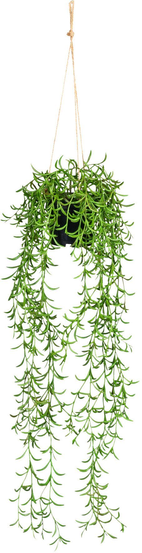 Kunstranke Nerifolia-Hänger Blatthänger, Creativ green, Höhe 70 cm, im  Hängetopf aus Kunststoff