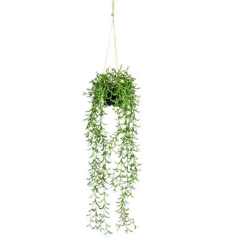 Kunstranke Nerifolia-Hänger Blatthänger, Creativ green, Höhe 70 cm, im Hängetopf aus Kunststoff