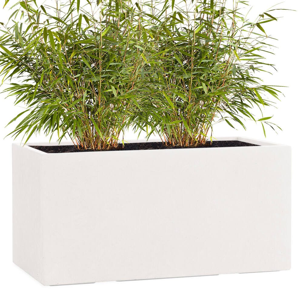 Pflanzwerk® Pflanzkübel TUB Premium Fiberglas Blumenkübel Frostbeständig mit Lotus-Effekt, Fiberglas - Handgefertigt - Rechteckig - Frostbeständig