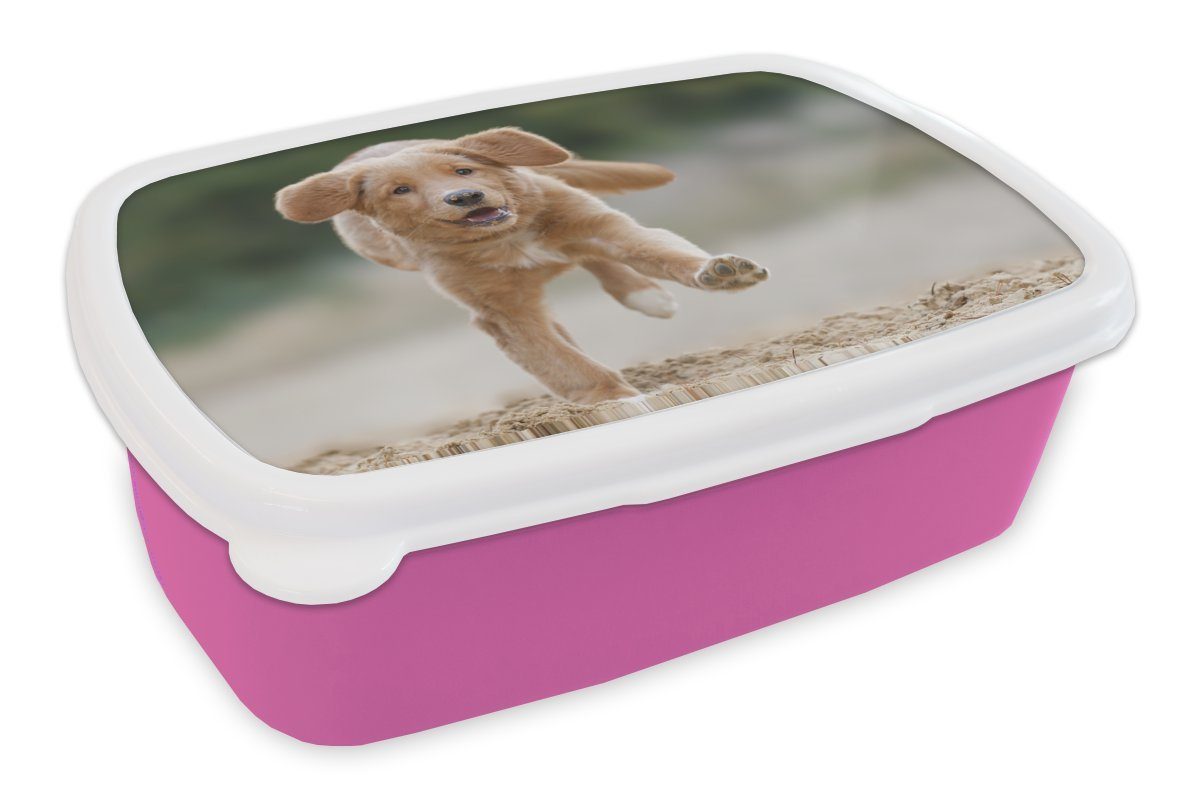 Lunchbox für Golden Kunststoff Kinder, Mädchen, Brotbox Snackbox, Retriever Brotdose (2-tlg), Erwachsene, Kunststoff, Welpe, Ein MuchoWow rosa