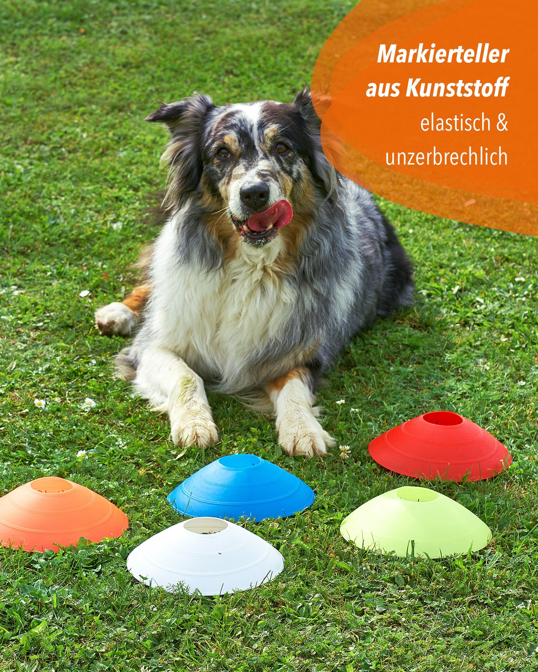 SPORTIKEL24 Zielmarkierung Markierteller 50 Stück in 5 Farben, mit Tragehalter