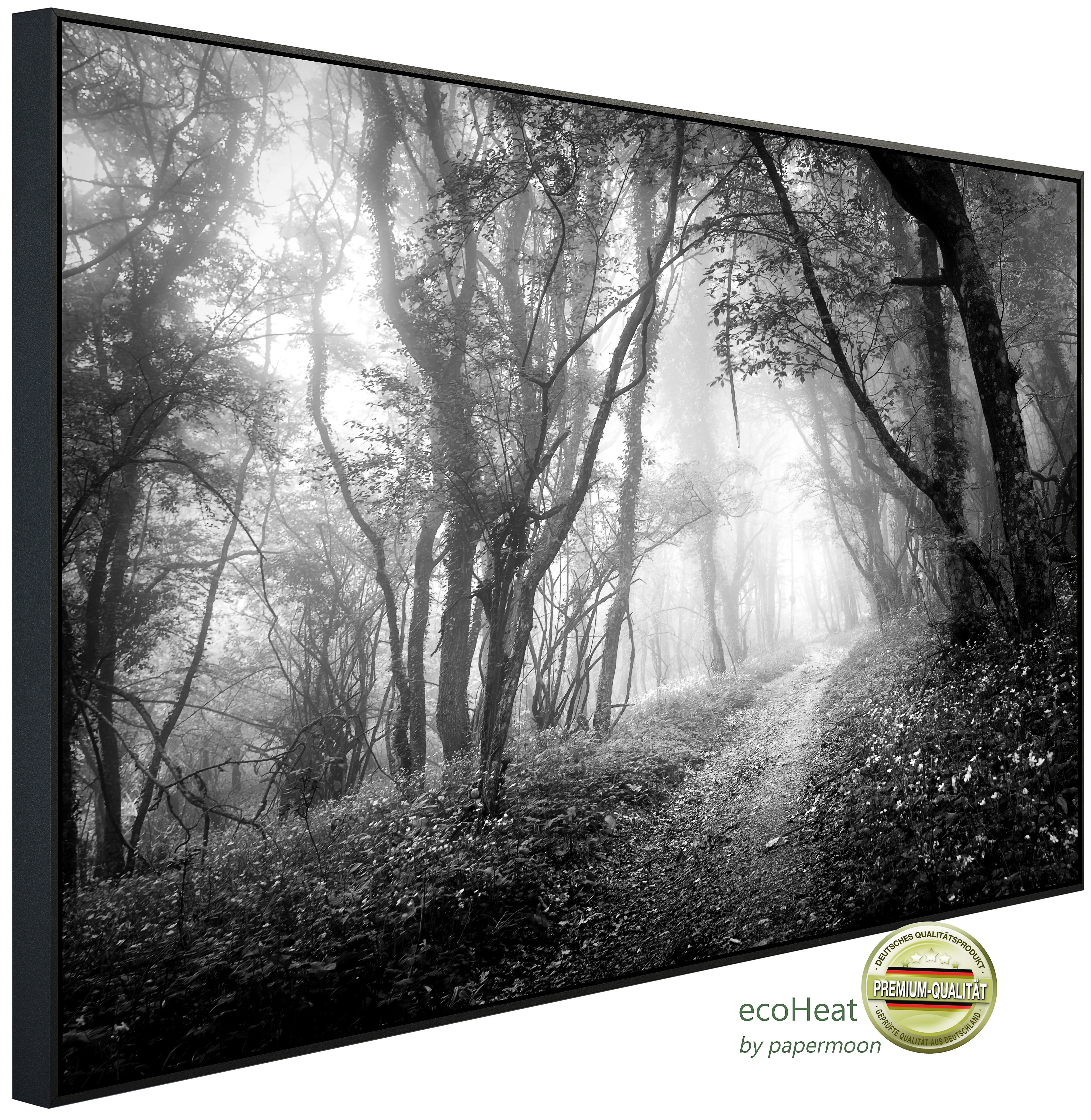Papermoon Infrarotheizung INFRAROT-BILD-HEIZUNG, Wald Schwarz & Weiß, TÜV-Rheinland/GS zertifiziert, angenehme Strahlungswärme