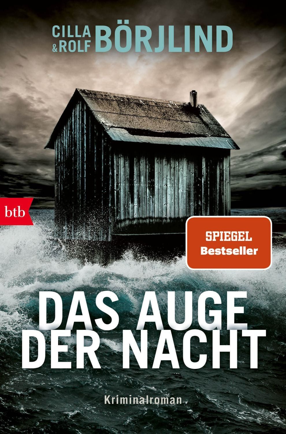 Das Auge der Nacht / Cilla Börjlind, Rolf Börjlind, Kriminalroman