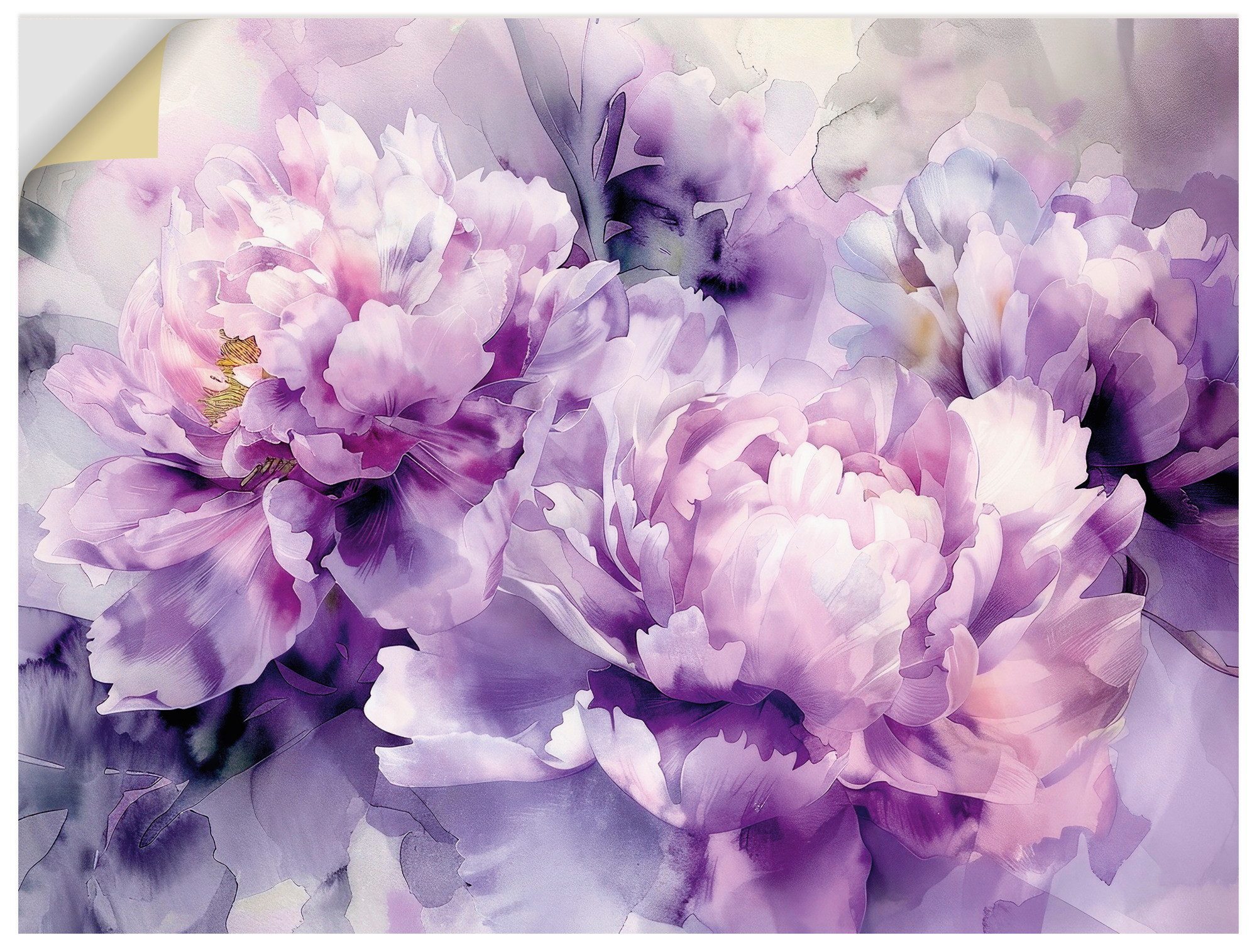 Artland Wandbild Lila Farbene Pfingstrosen Aquarell, Blumenbilder (1 St), als Alubild, Leinwandbild, Poster, Wandaufkleber in verschied. Größen