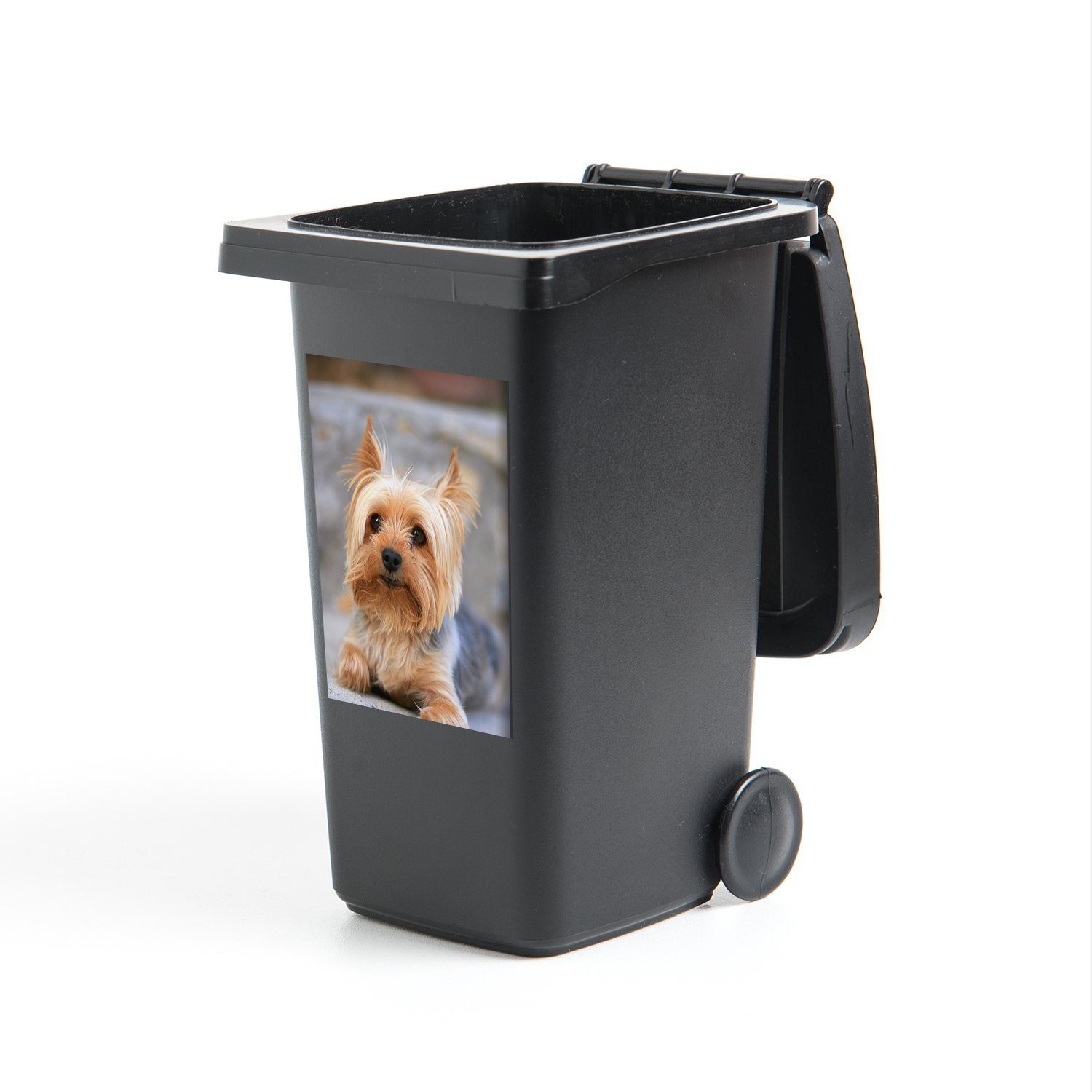 MuchoWow Wandsticker Yorkshire Terrier liegt bequem auf dem weichen Teppich (1 St), Mülleimer-aufkleber, Mülltonne, Sticker, Container, Abfalbehälter