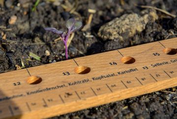 dobar Gemüsesamen, Pflanzen-Starter-Set aus Buchenholz mit 3 verschiedenen BIO-Saaten