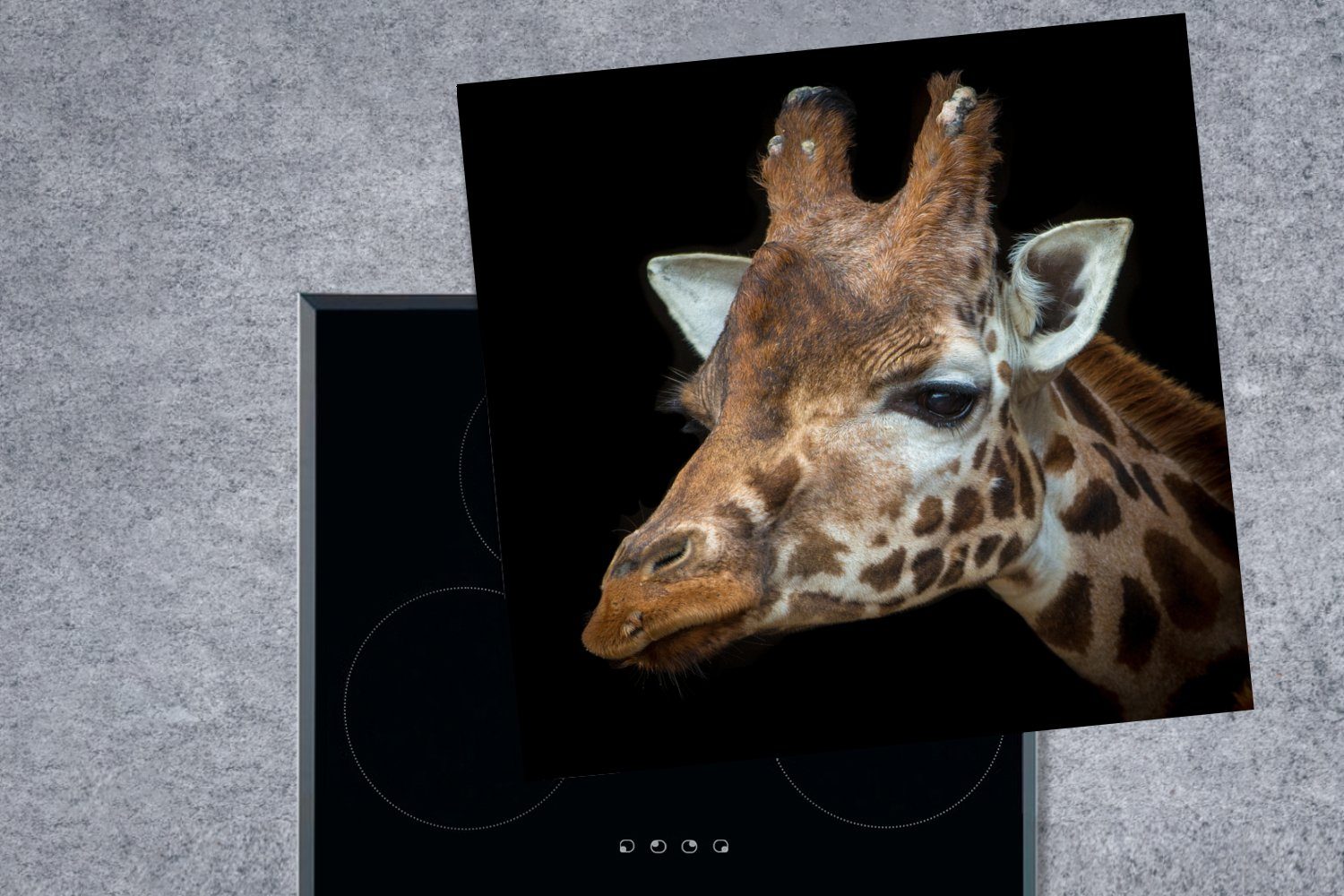 für 78x78 MuchoWow einer Giraffe Arbeitsplatte auf Herdblende-/Abdeckplatte cm, Porträt Ceranfeldabdeckung, (1 küche Hintergrund, schwarzem tlg), Vinyl,