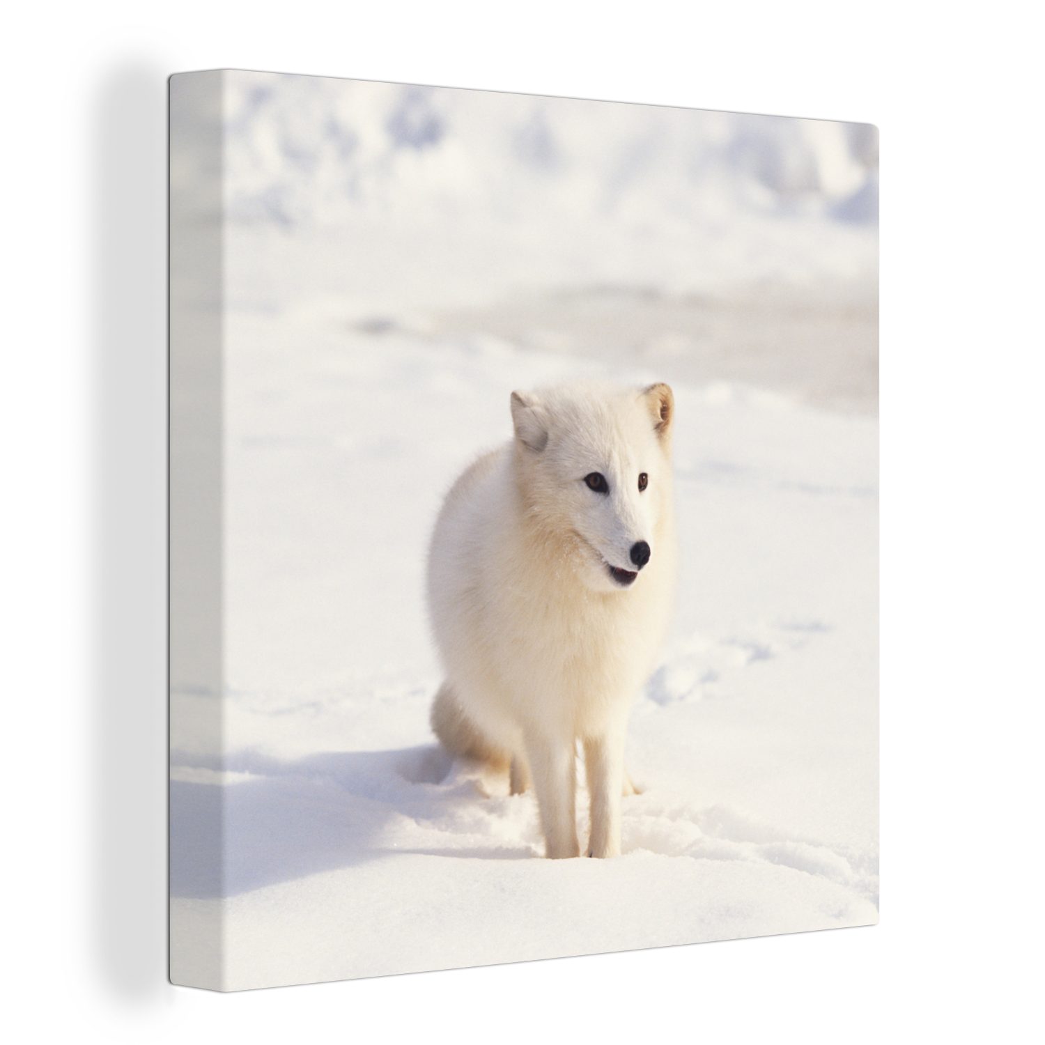 OneMillionCanvasses® Leinwandbild Fuchs - Schnee - Weiß, (1 St), Leinwand Bilder für Wohnzimmer Schlafzimmer