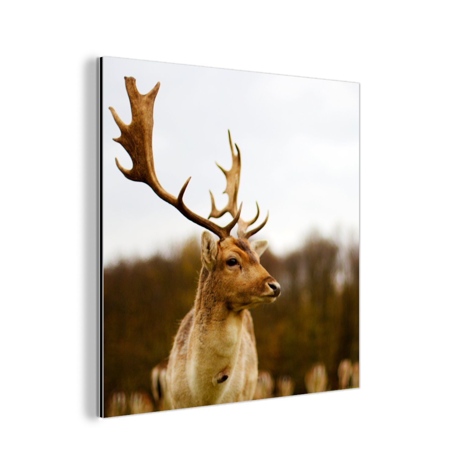 MuchoWow Metallbild Damhirsch - Wald - Herde - Tiere - Natur, (1 St), Alu-Dibond-Druck, Gemälde aus Metall, Aluminium deko