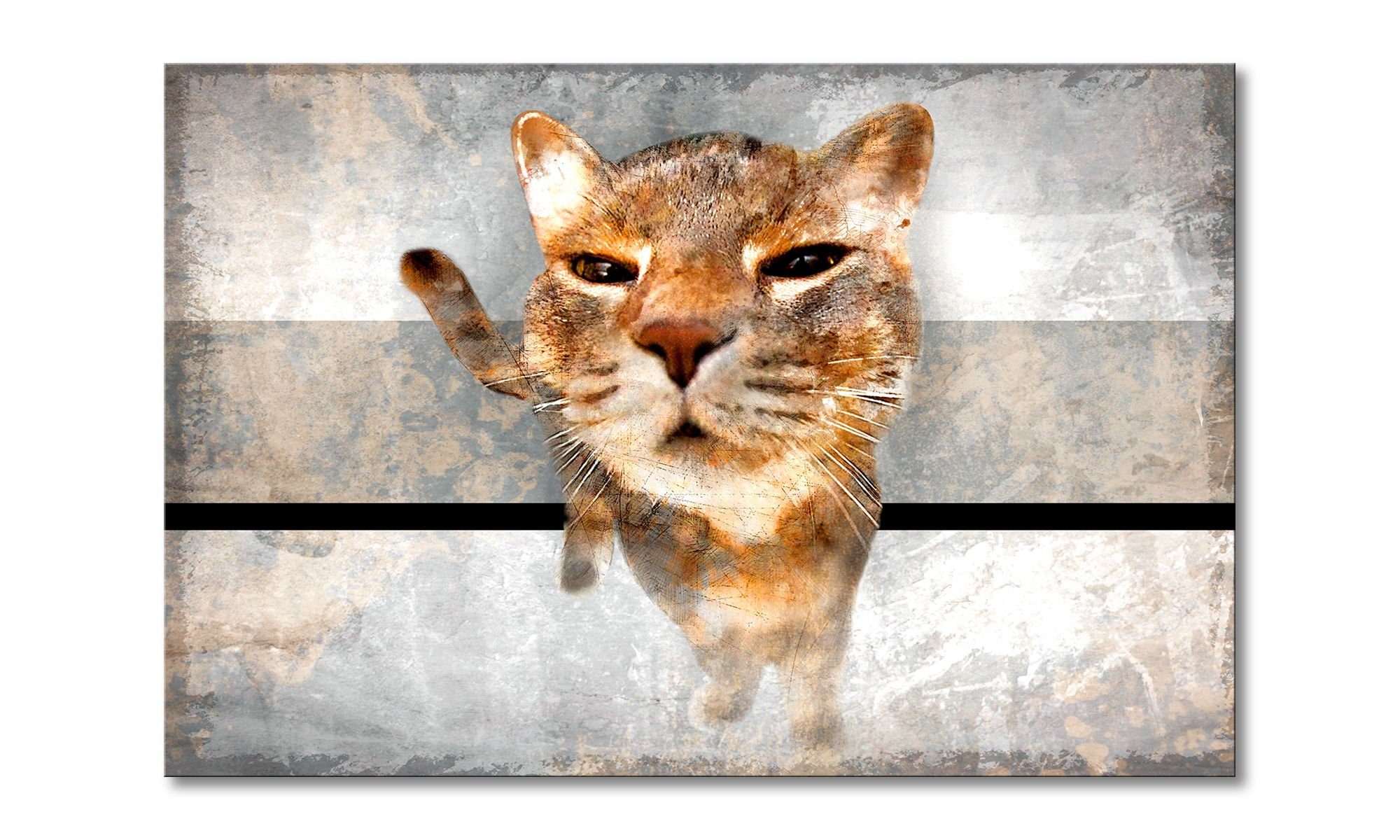 Leinwandbild Smooth Cat