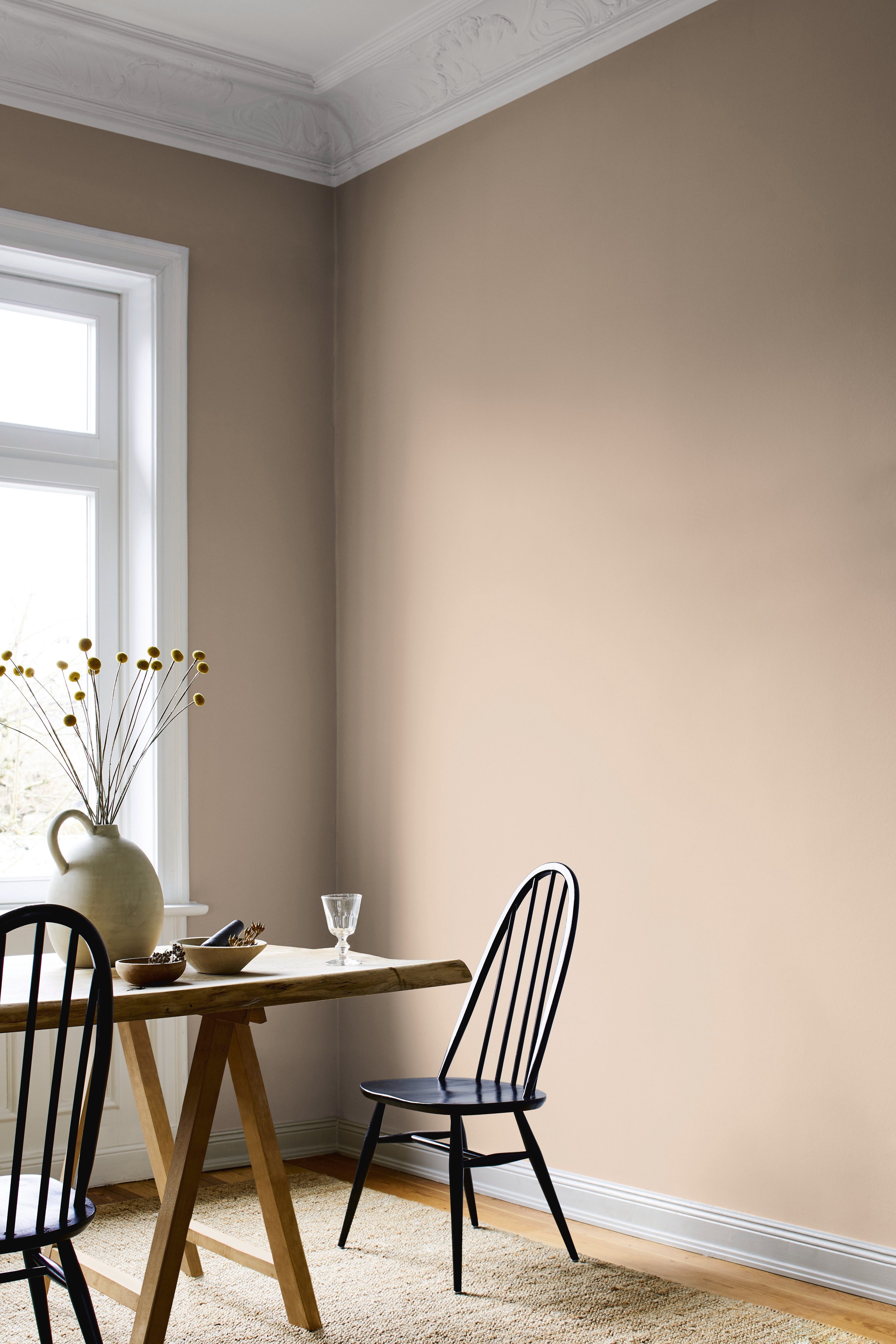 Alpina Wandfarbe Alpina Feine Farben edelmatt 2,5 Liter - Farbfamilie Beige