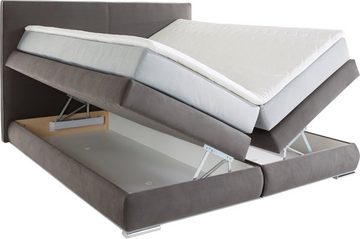 COLLECTION AB Boxspringbett, inklusive 2 Zierkissen, Bettkasten und Topper