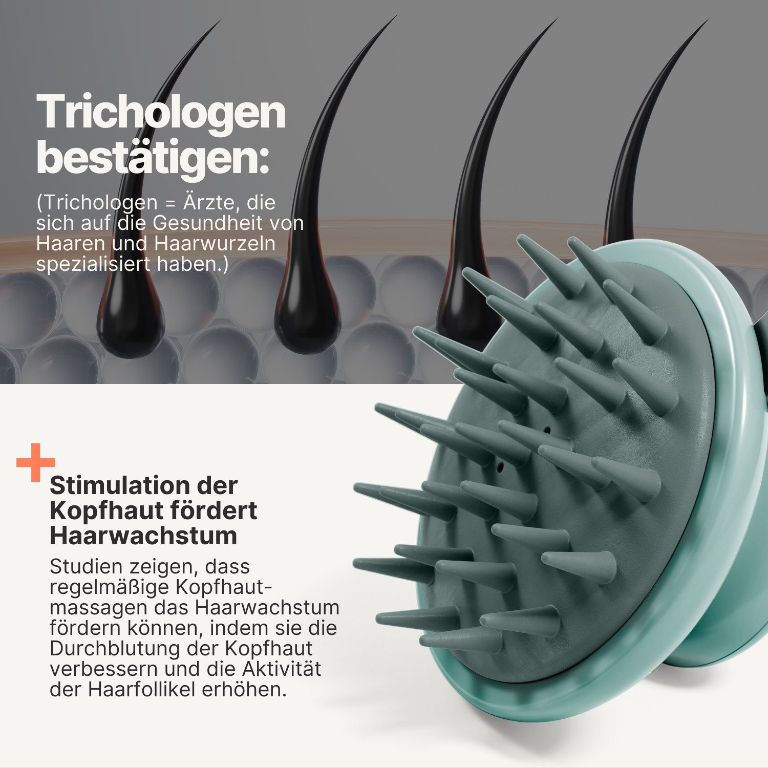 IMPERIO Haarbürste Shampoo-Massagebürste für Tiefenreinigung und mehr Haarwachstum