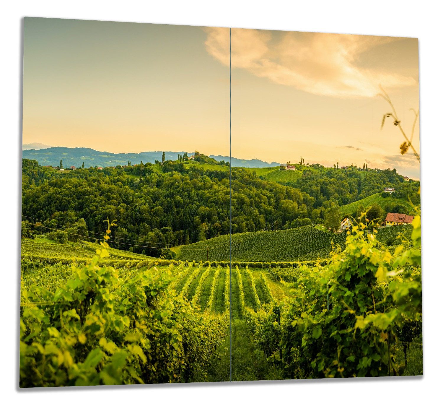 Wallario Herd-Abdeckplatte Abendlicht über Weinbergen, ESG-Sicherheitsglas, (Glasplatte, 2 tlg., inkl. 5mm Noppen), verschiedene Größen