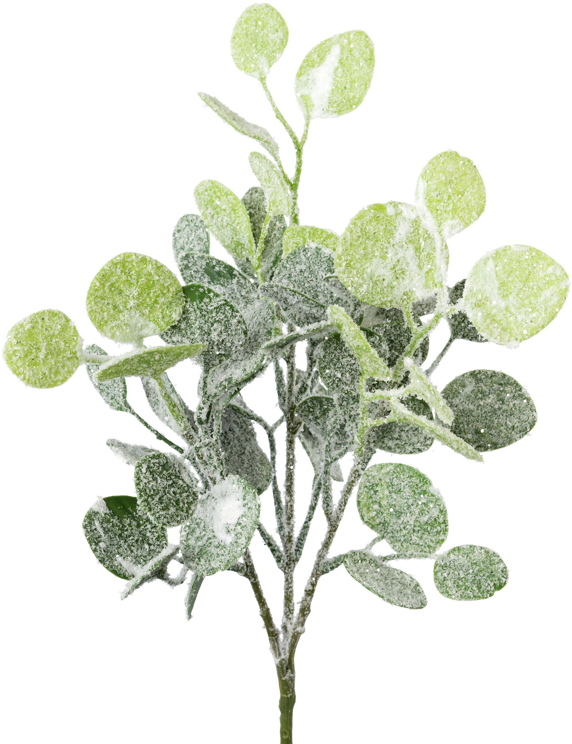 mit Kunstpflanze bedeckt, Eukalyptus, Höhe cm, green, 38 Weihnachtsdeko Winterliche Zweige künstlichem 3er-Set Creativ Schnee