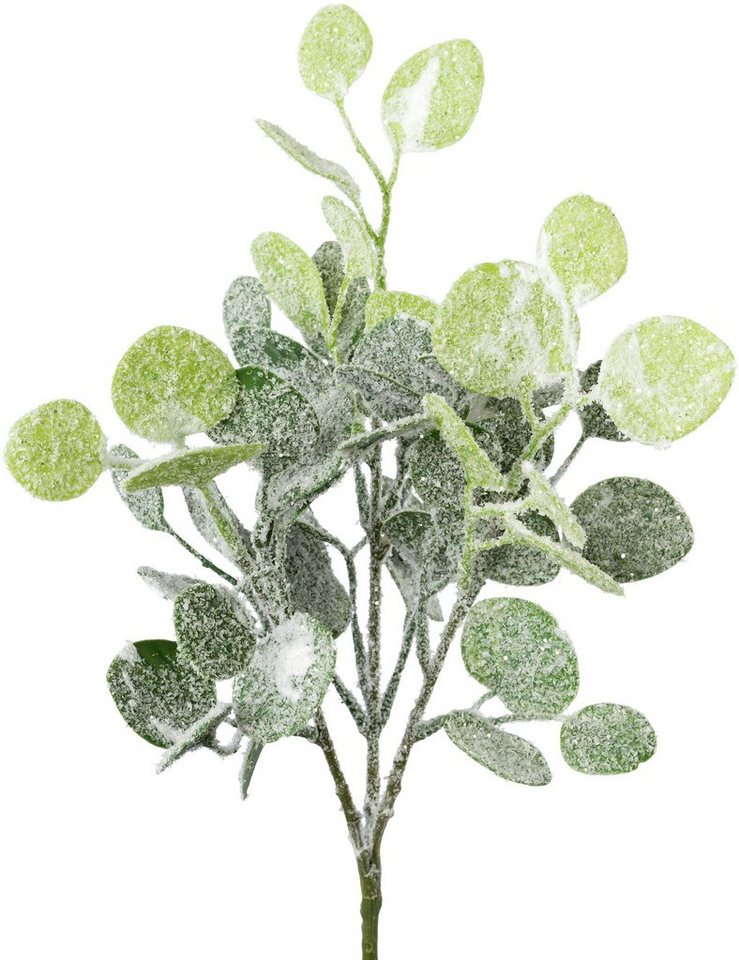 Winterliche Kunstpflanze Weihnachtsdeko Eukalyptus, Creativ green, Höhe 38  cm, Zweige mit künstlichem Schnee bedeckt, 3er-Set
