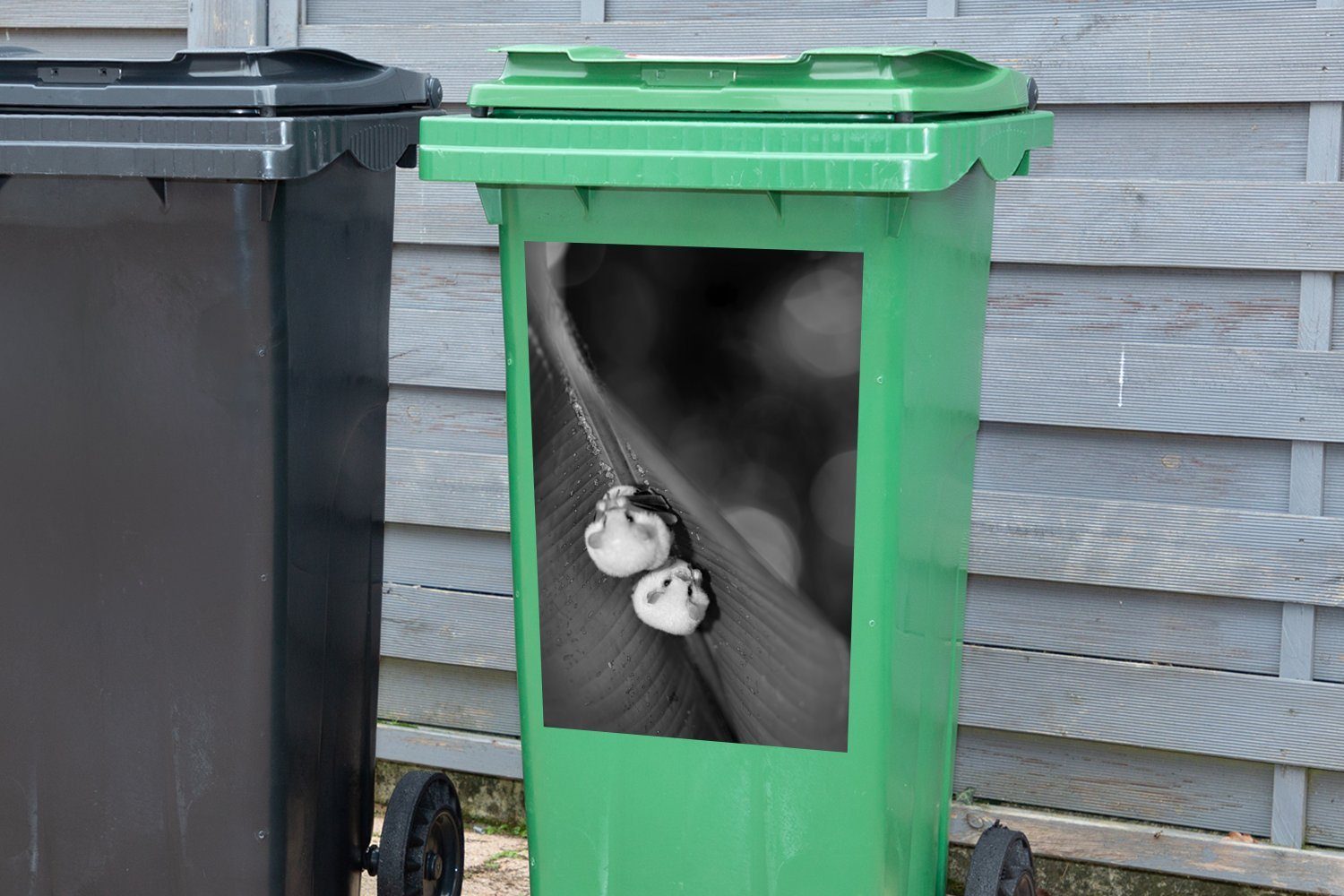 Container, weiß auf einem MuchoWow Mülltonne, schwarz St), Abfalbehälter Sticker, Mülleimer-aufkleber, und Weiße - Fledermäuse Blatt (1 Wandsticker