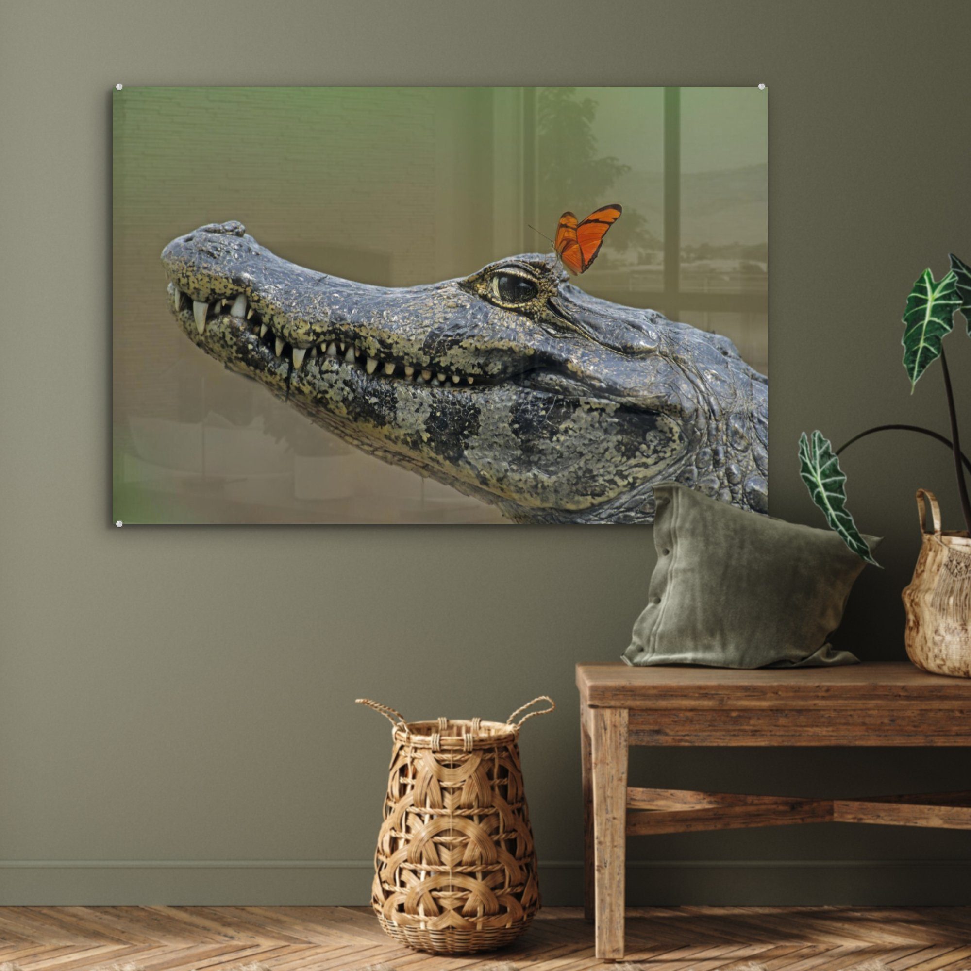 MuchoWow Acrylglasbild Krokodil (1 Schlafzimmer - Schmetterling Zähne, Wohnzimmer Acrylglasbilder - & St)
