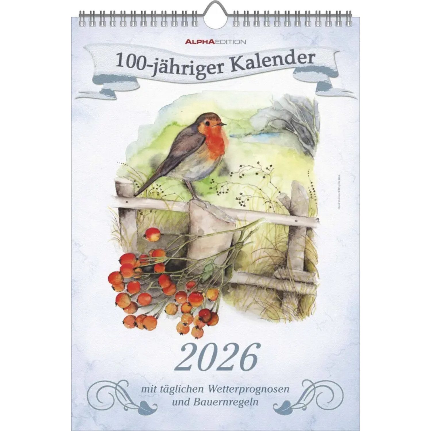 Alpha Edition Wandkalender Alpha Edition - 100-jähriger Kalender 2026 - Wandkalender 23,7×34...