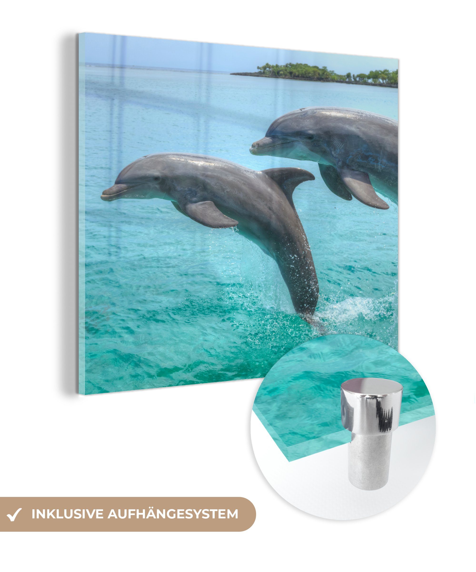 MuchoWow Acrylglasbild Delfine vor den Bay Islands, Inkl. Aufhängung, Bilder auf Glas Wandbild, Wanddeko Wohnzimmer Badezimmer, 20x20 cm