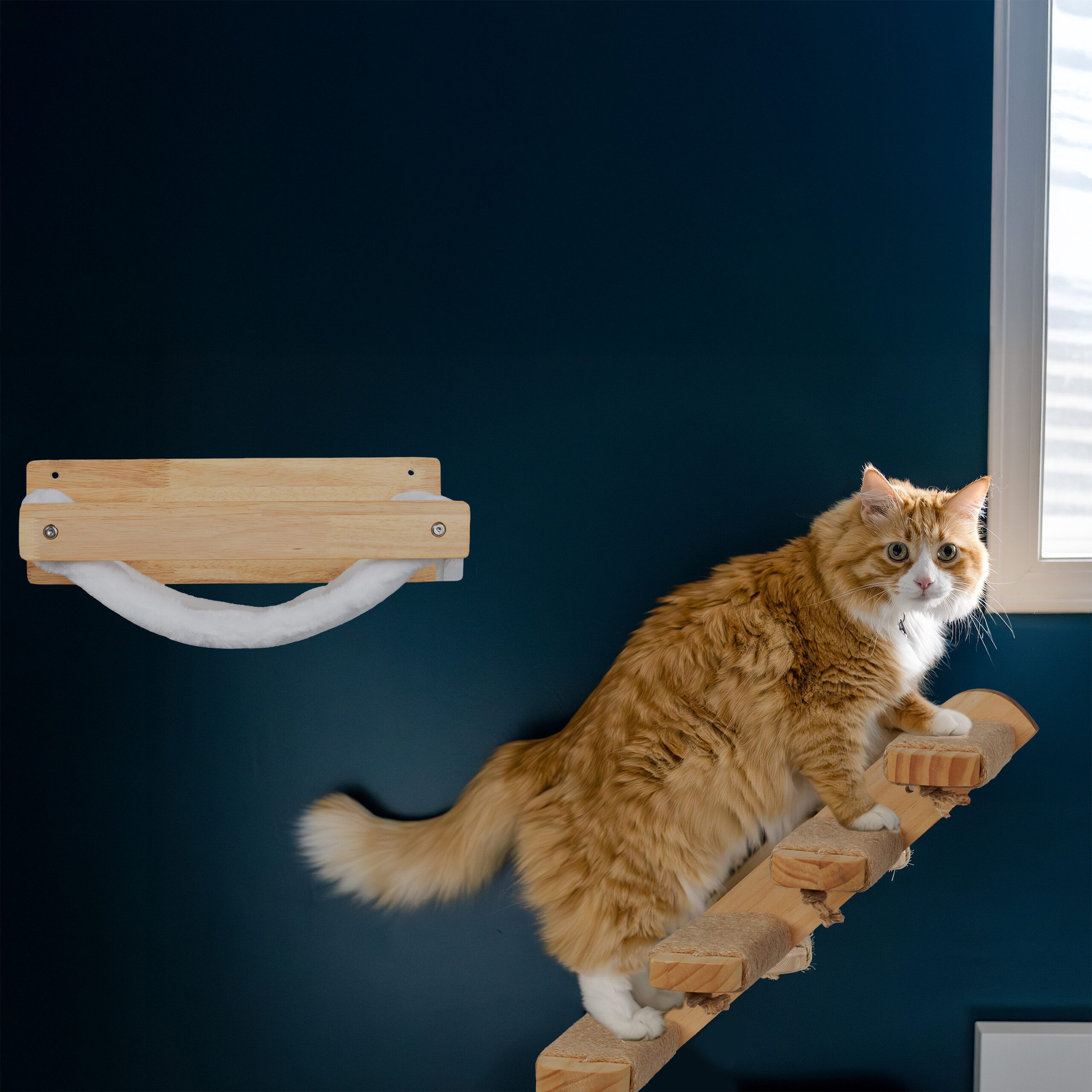 relaxdays Katzen-Kletterwand Katzentreppe Wand mit 4 günstig online kaufen